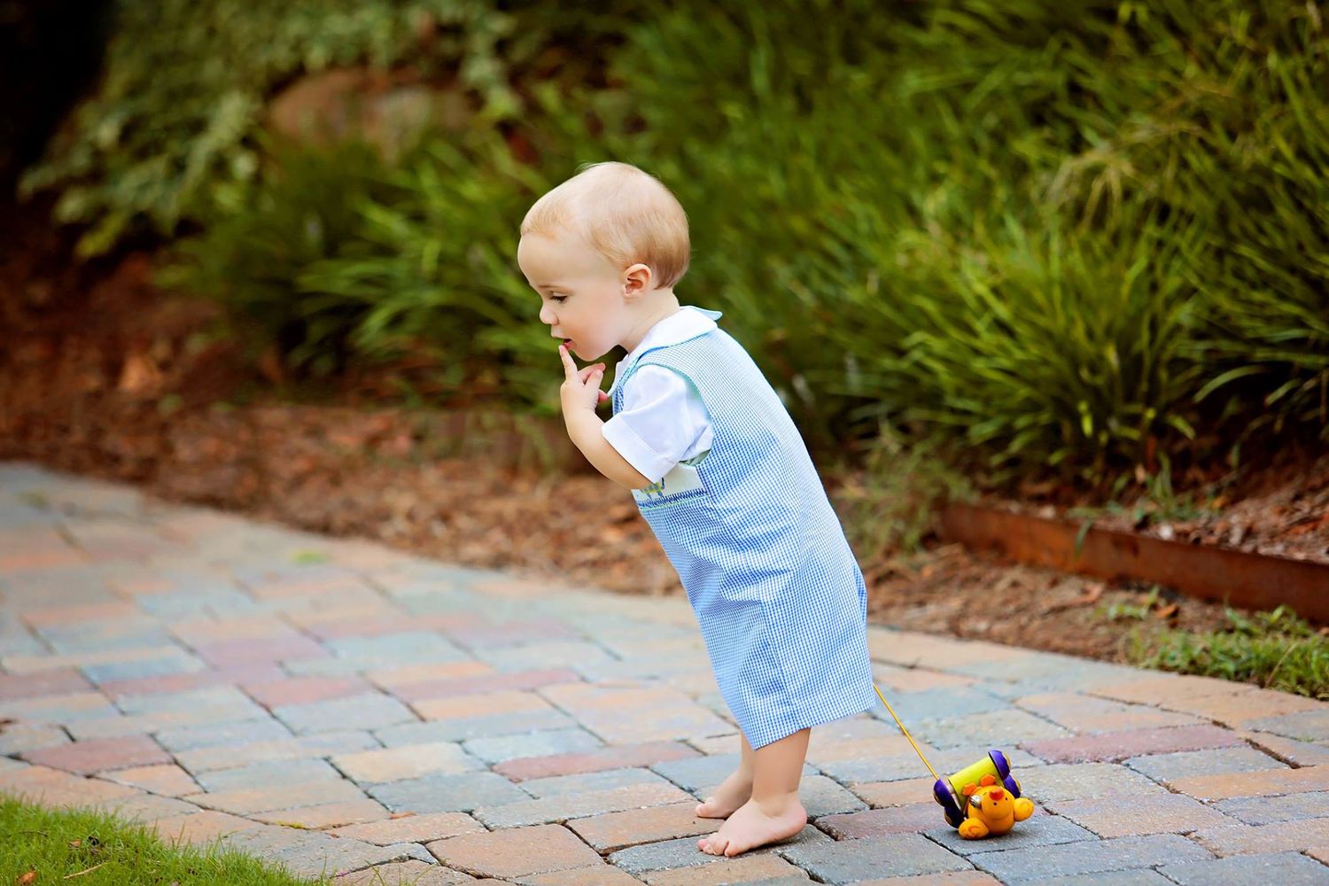 Toddler in overalls bending down to look at butterfly on brick path.