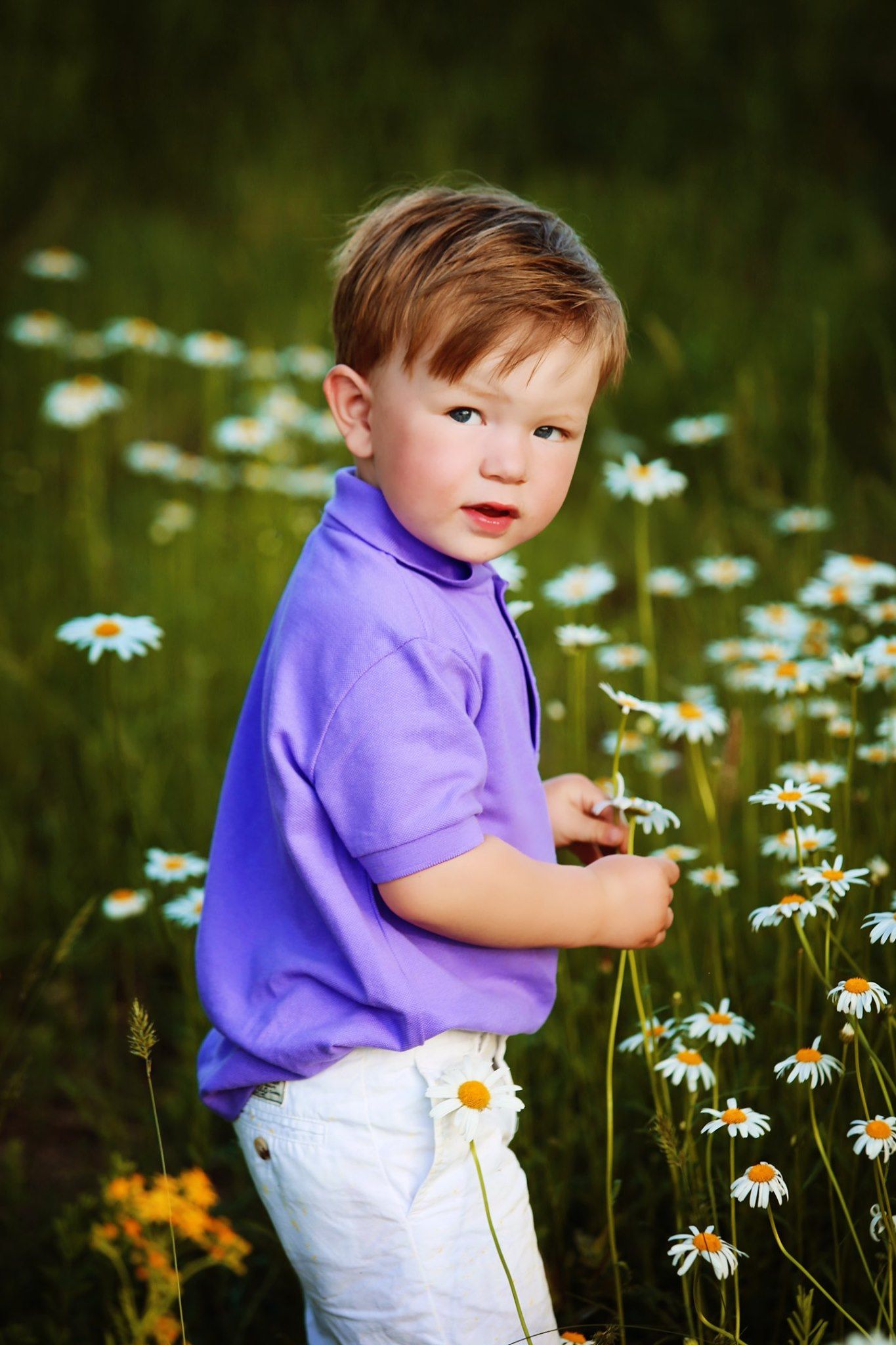 Purple-shirted figure standing among blooming white daisies in a summer field.