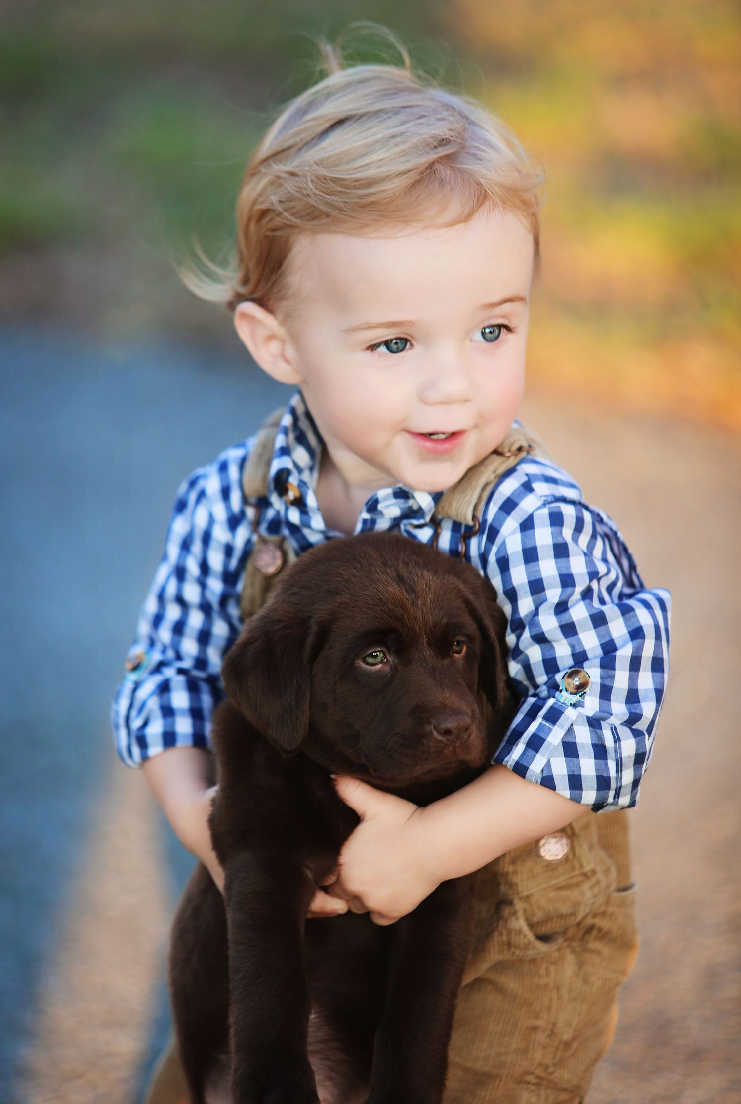 Child in blue checkered shirt and overalls hugging chocolate lab puppy outdoors.