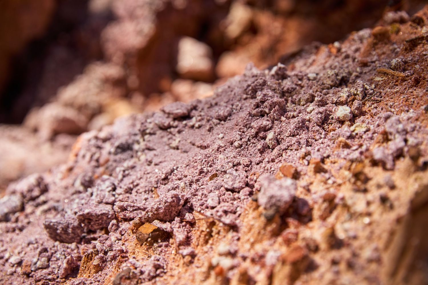 Close-up texture of reddish-brown weathered rock surface.
