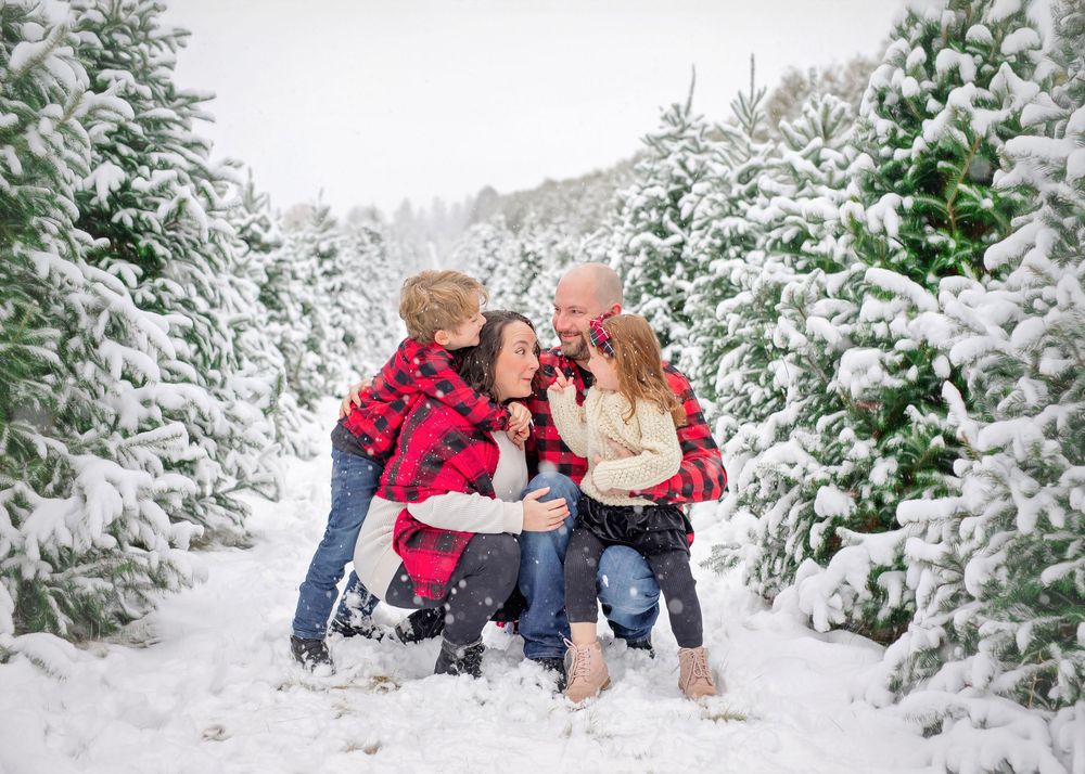 People in winter attire playing in the snow among evergreen trees on a snowy winter day.