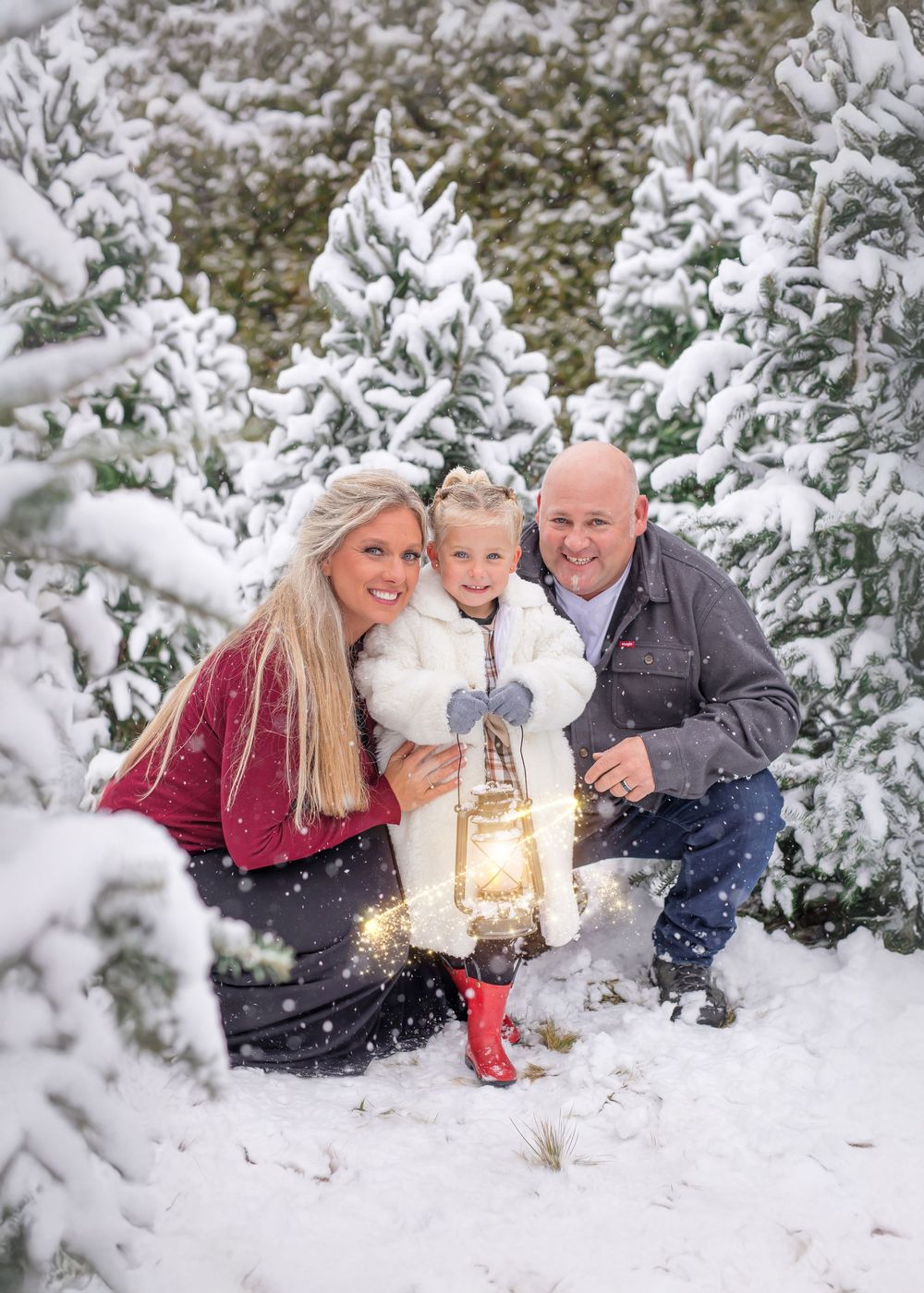 A glowing lantern illuminates a snowy winter scene among snow-covered evergreen trees in a magical forest setting.