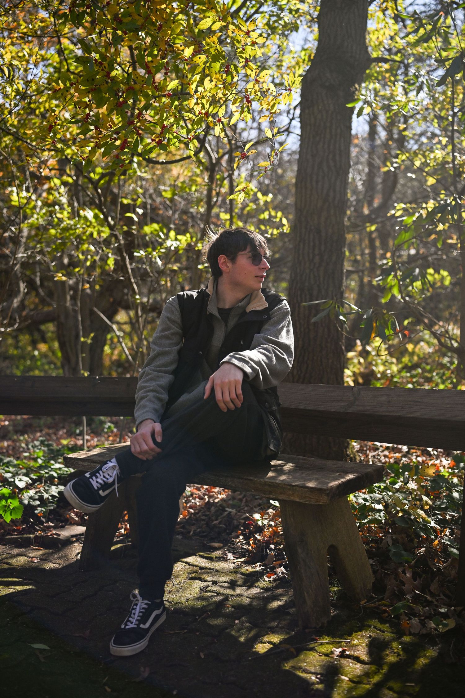 A photograph of a young man sitting on a bench in the woods under a tree with the light falling on the leaves above him