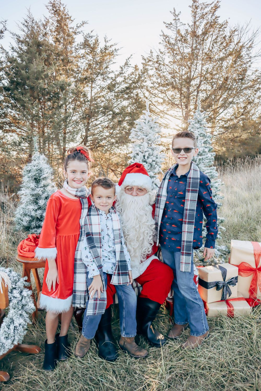 A holiday photo featuring decorated artificial trees and wrapped presents in an outdoor setting.