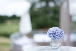 A delicate light blue hydrangea flower in a clear ribbed glass vase sits on a white surface with blurred outdoor background.