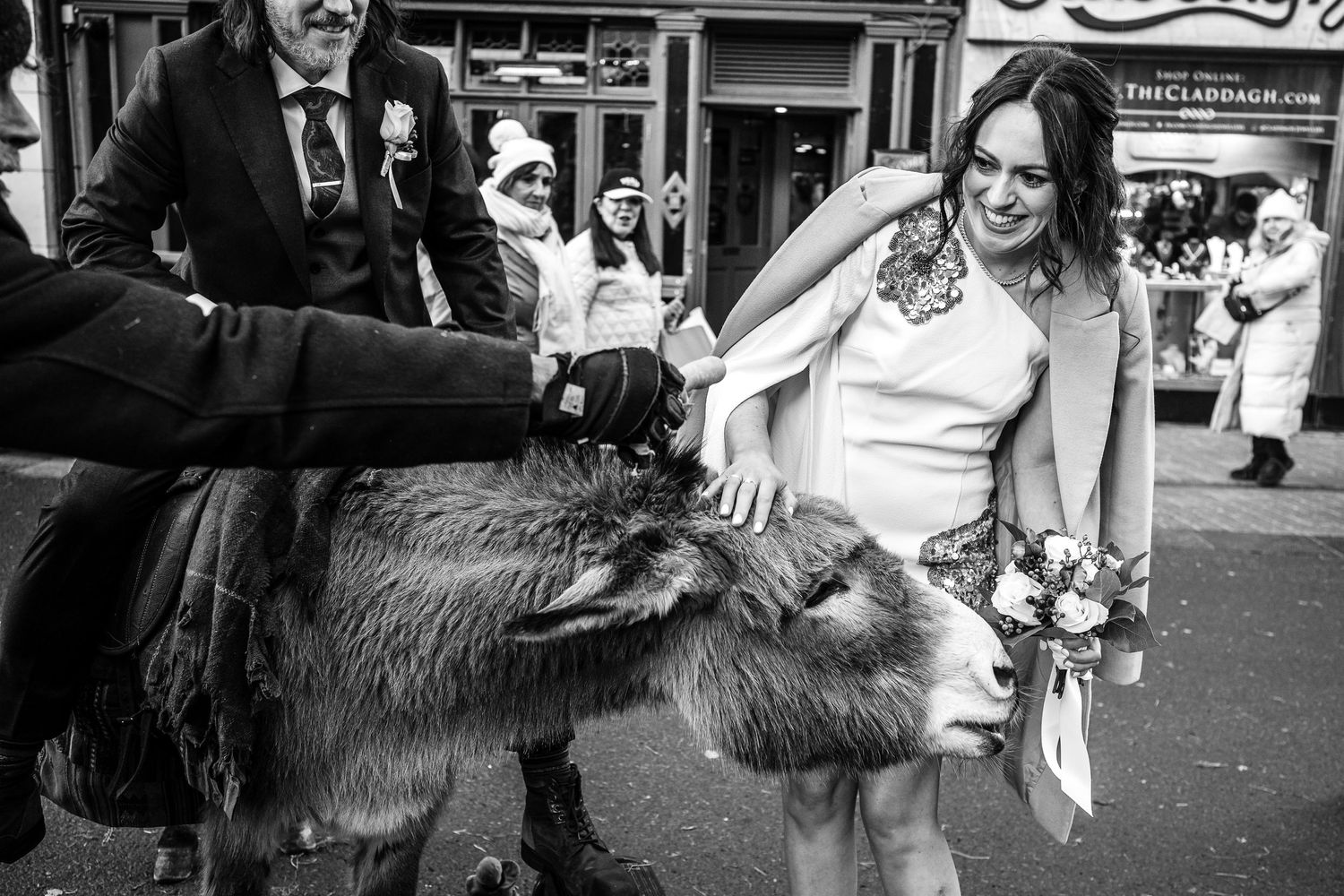 A candid black and white street scene with someone interacting with a donkey while others look on.