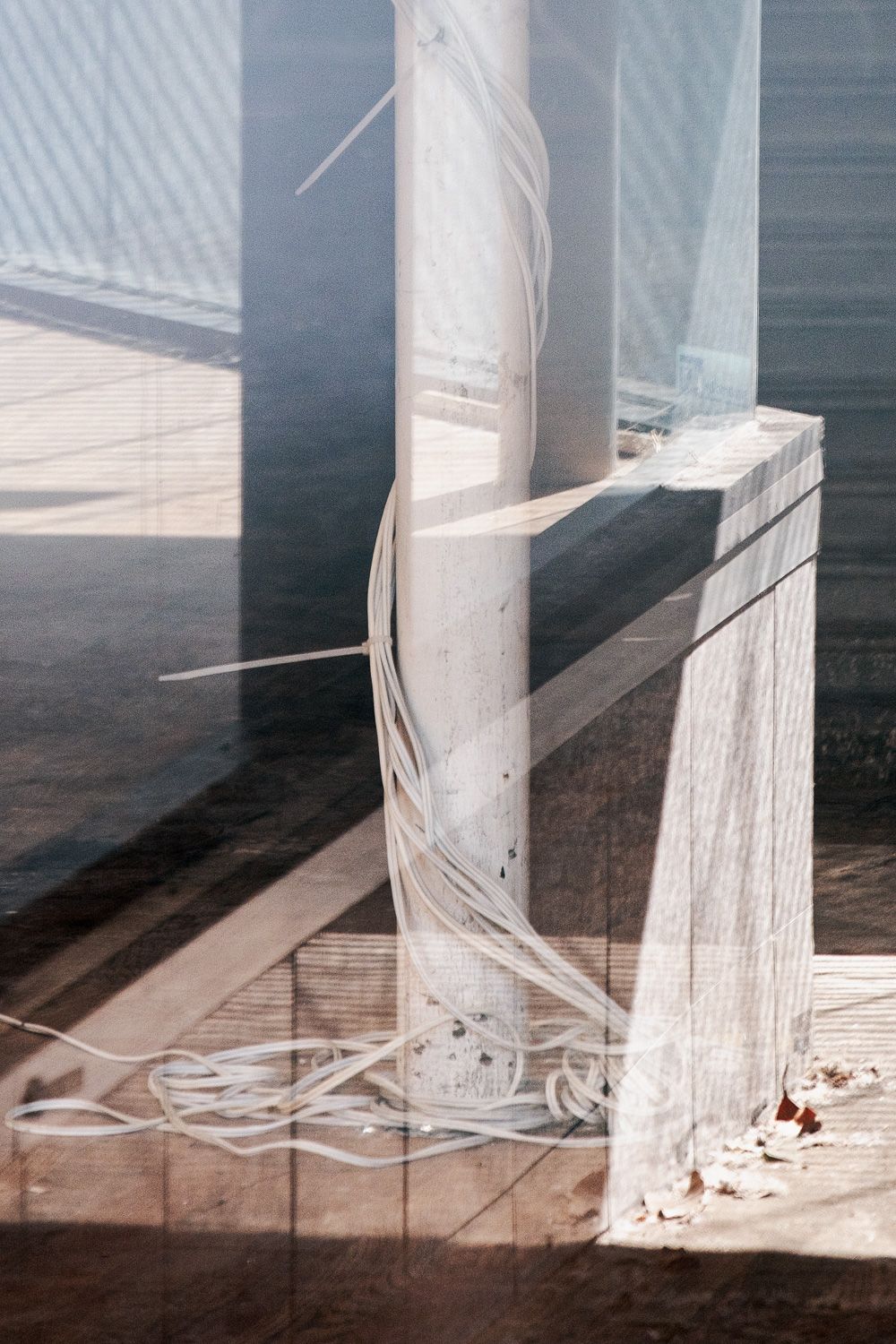 White feathers scattered on a wooden deck surface with harsh shadows creating a minimalist artistic composition.