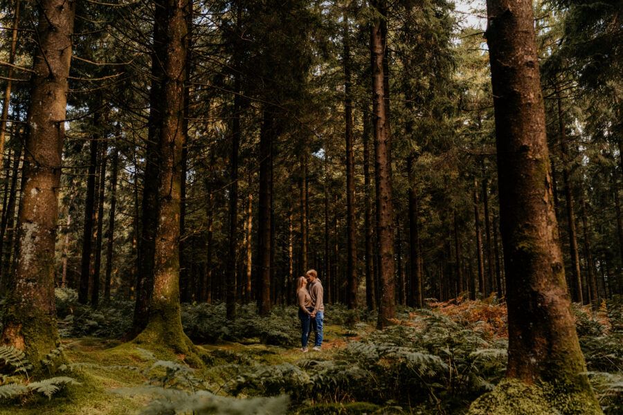 Romantic forest engagement session among tall pine trees.