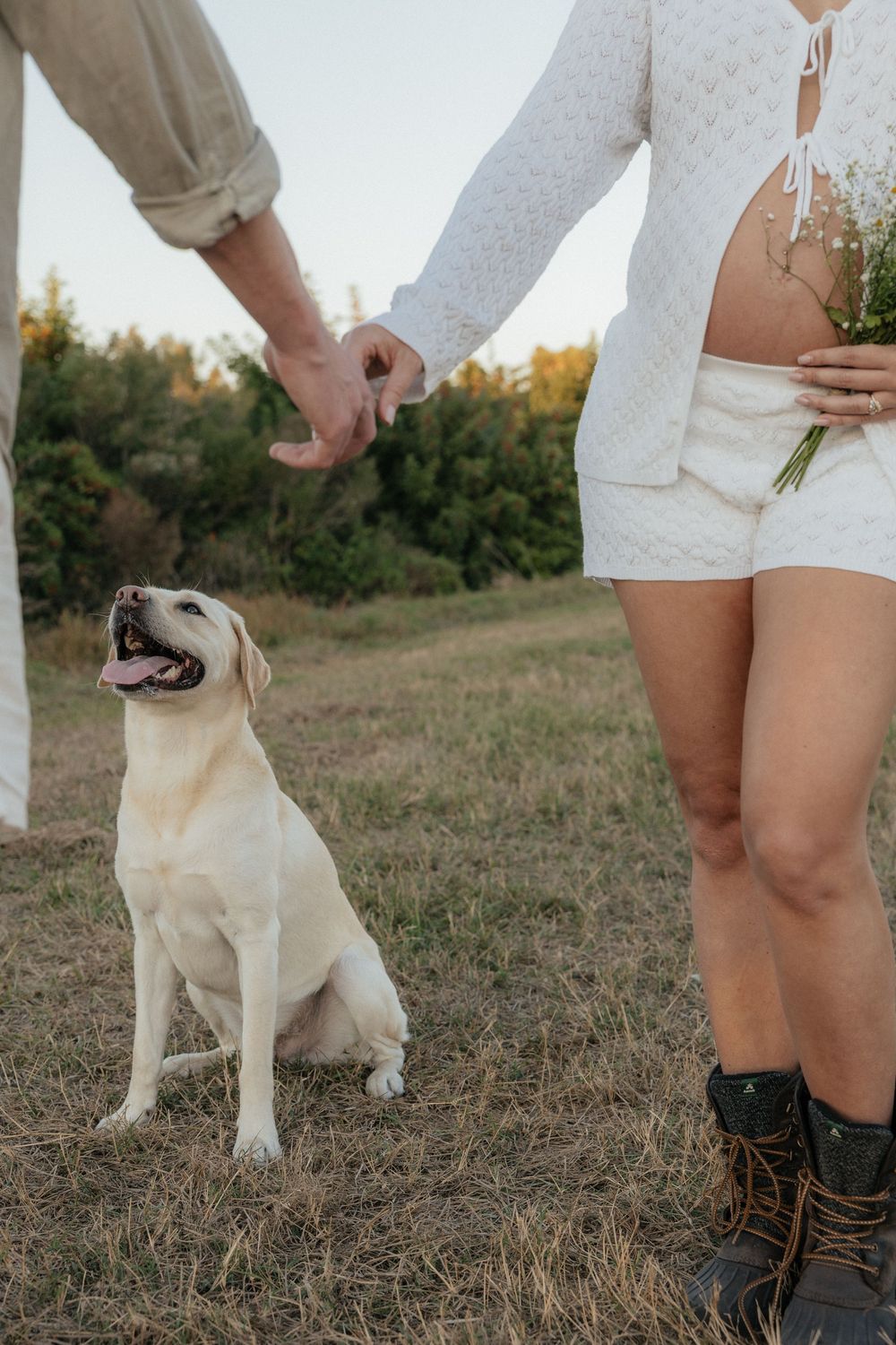 A happy yellow Labrador sits beside someone wearing brown boots and a white romper in a grassy field.