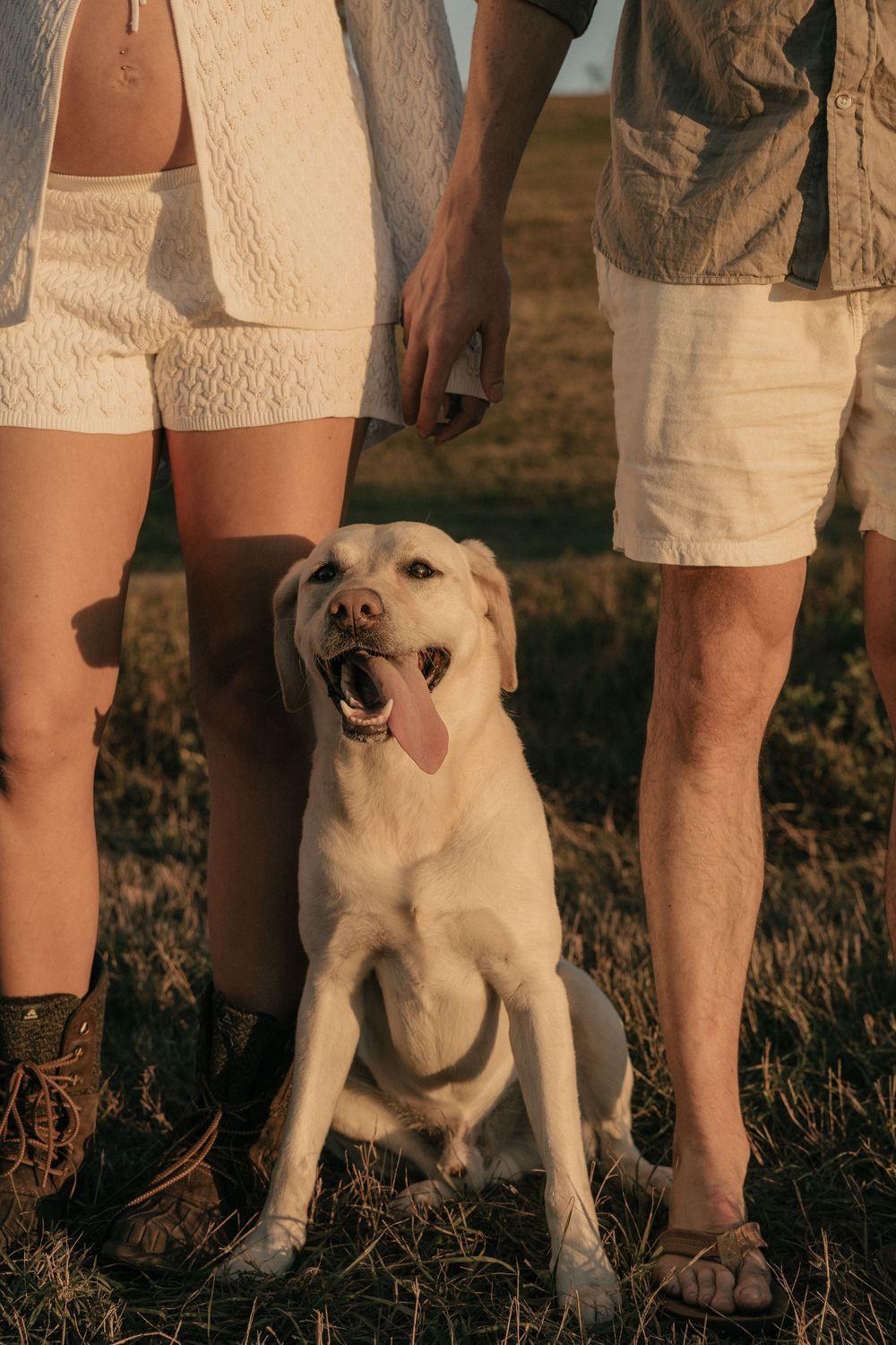 A happy Labrador dog poses with its owners' legs visible in a sunny outdoor setting.