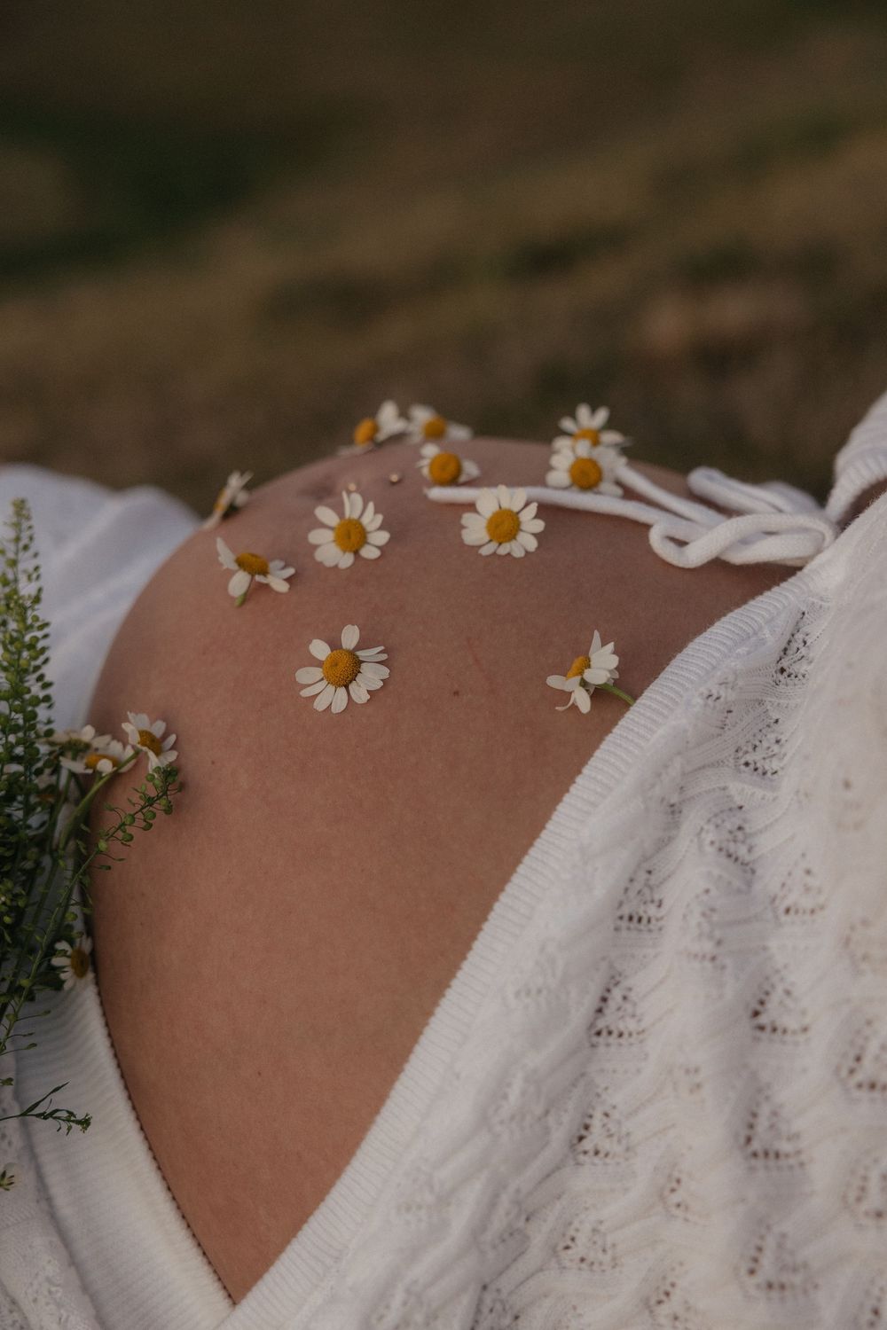 Artistic arrangement of fresh daisies placed on skin with white lace fabric in soft natural lighting.