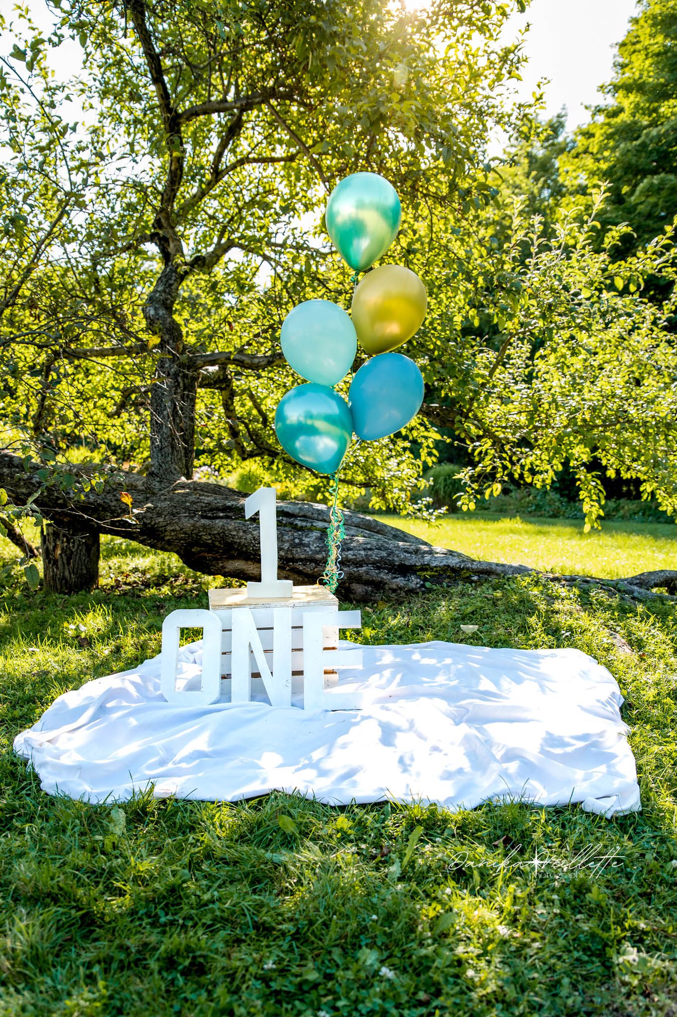 anniversaire, 1 an, smash the cake, ballons, bébé