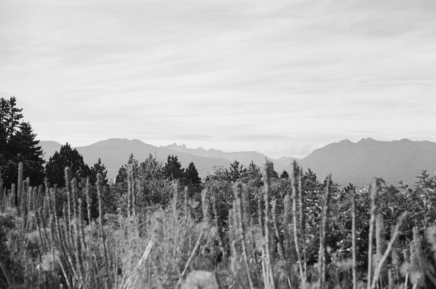 vancouver island elopement film photographer. gulf islands. weddings