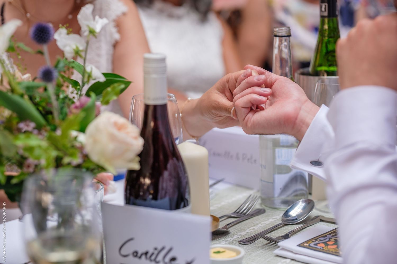 People toasting with wine glasses and drinks at an elegant outdoor dinner party in a garden setting.