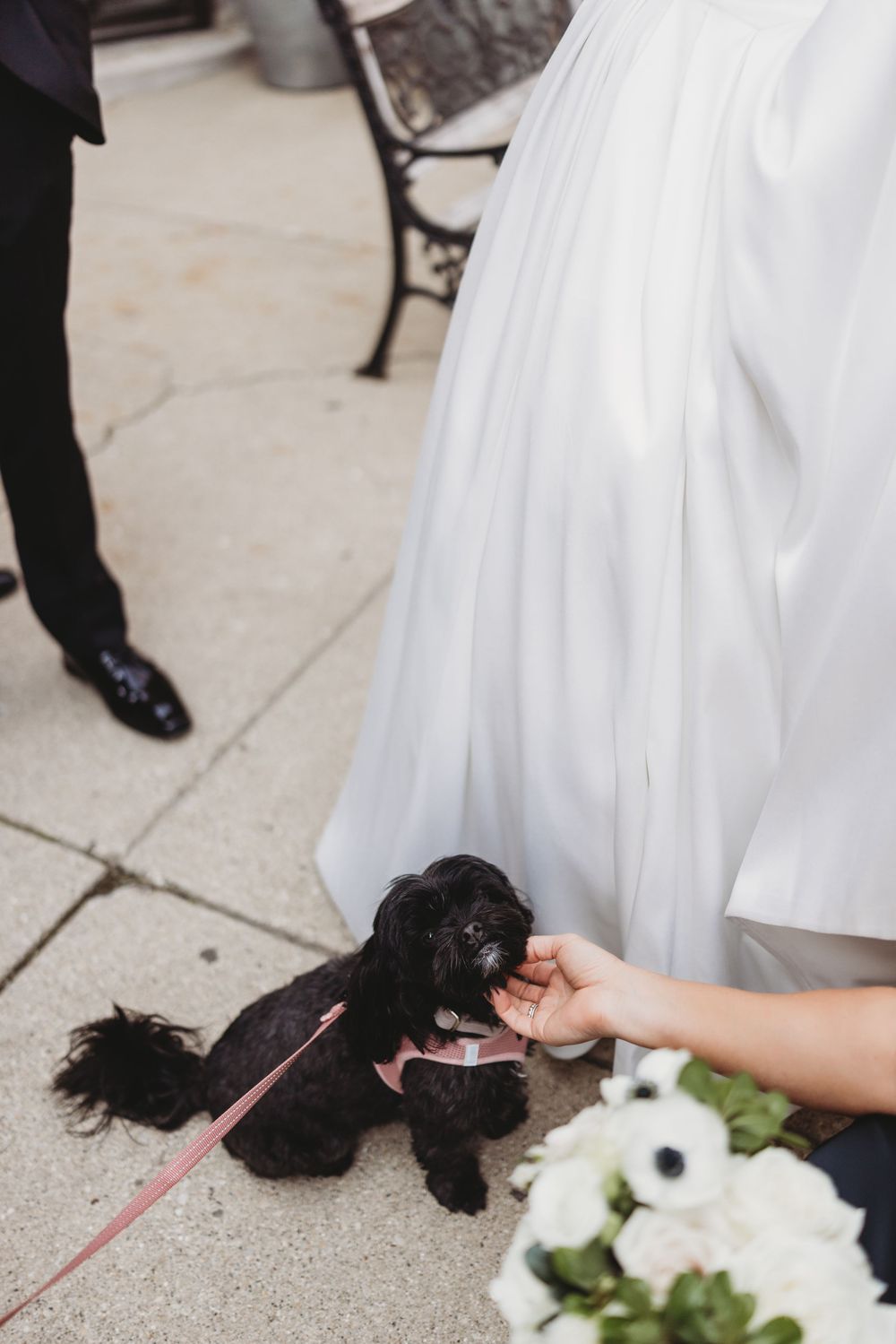 A small black dog on a pink leash receives pets while standing next to a white wedding dress and floral bouquet.