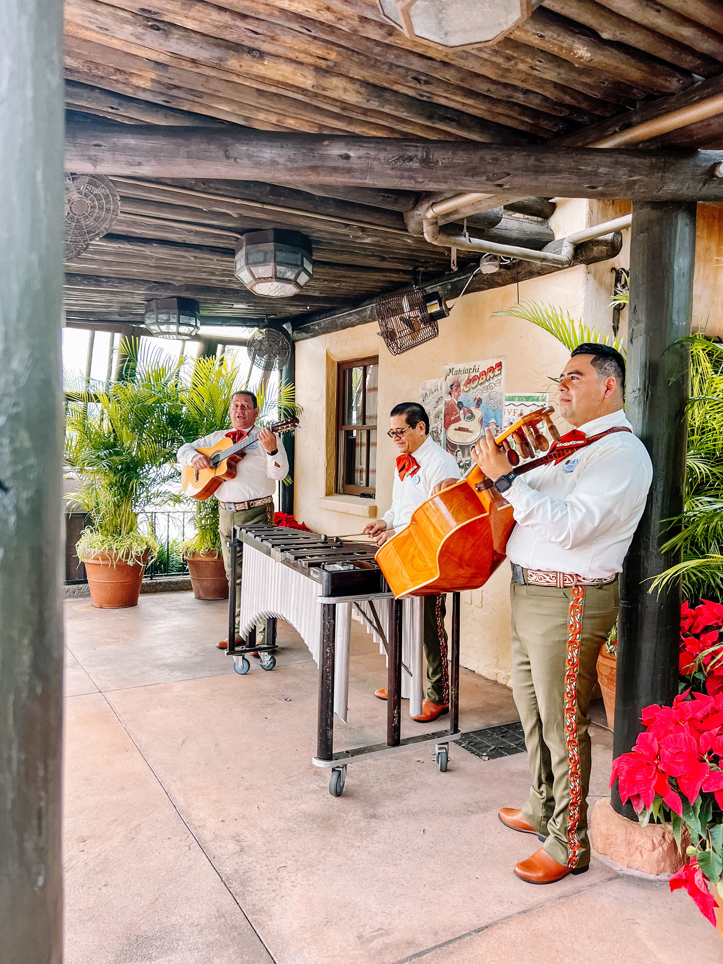 Live music performers with guitar and xylophone on a covered terrace with potted plants.