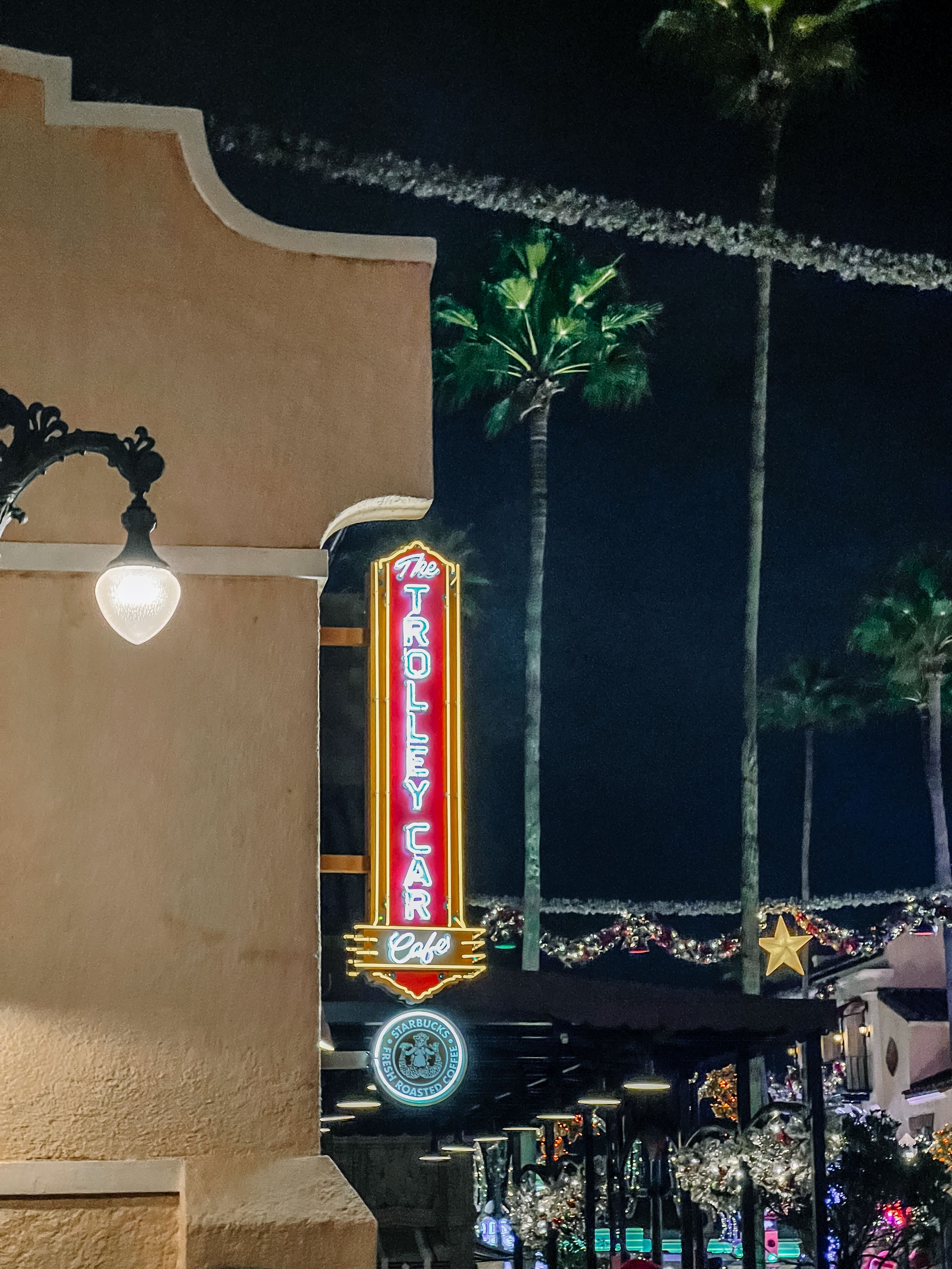 Illuminated vintage neon sign and palm trees against a dark night sky.
