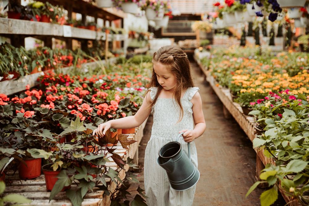 Garden center walkway lined with colorful flowers and hanging baskets.