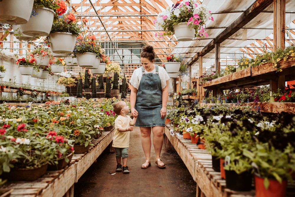Sunlit greenhouse interior with rows of plants and flowers on wooden display shelves.