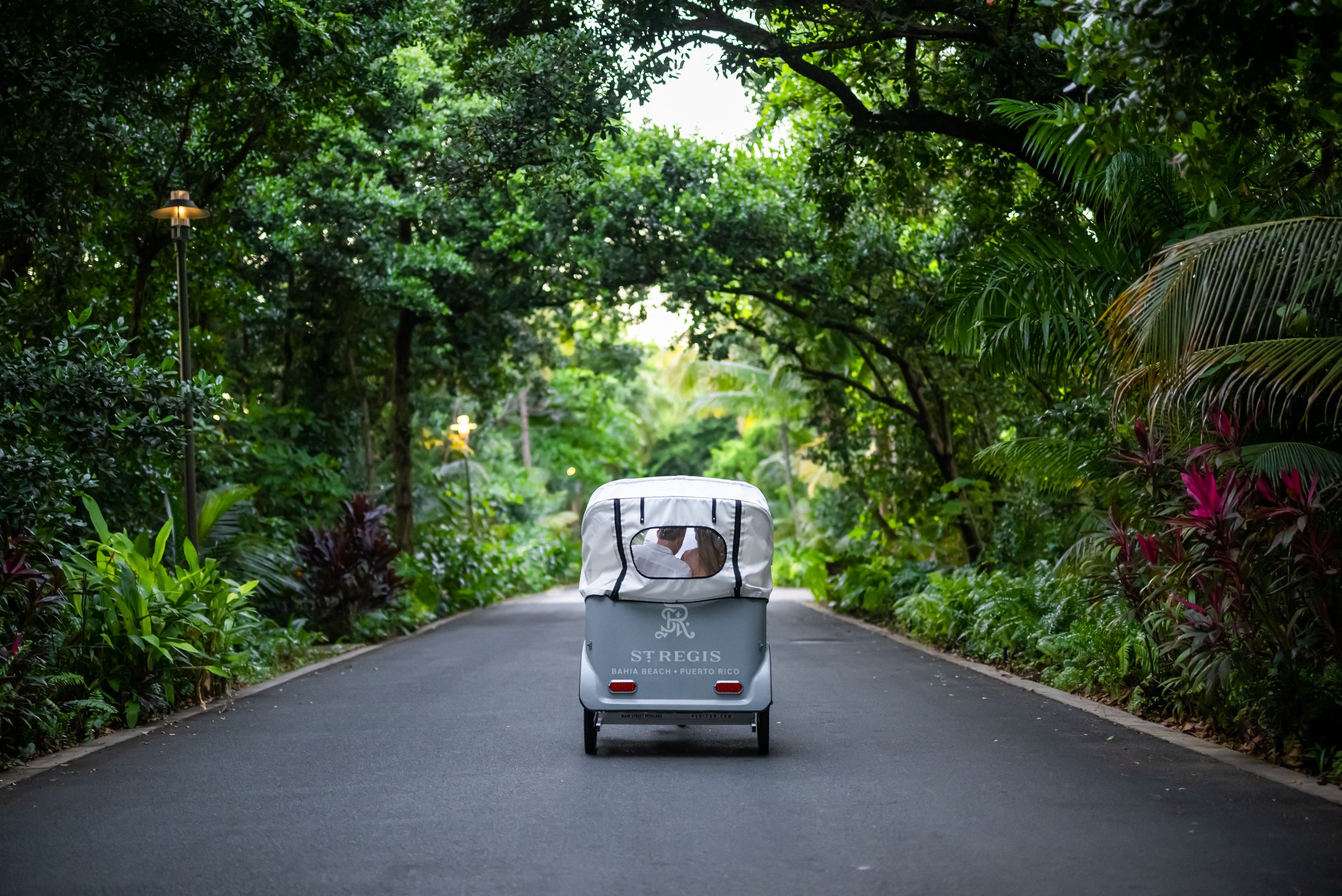White golf cart driving down a lush tropical garden path lined with green foliage and palm trees.