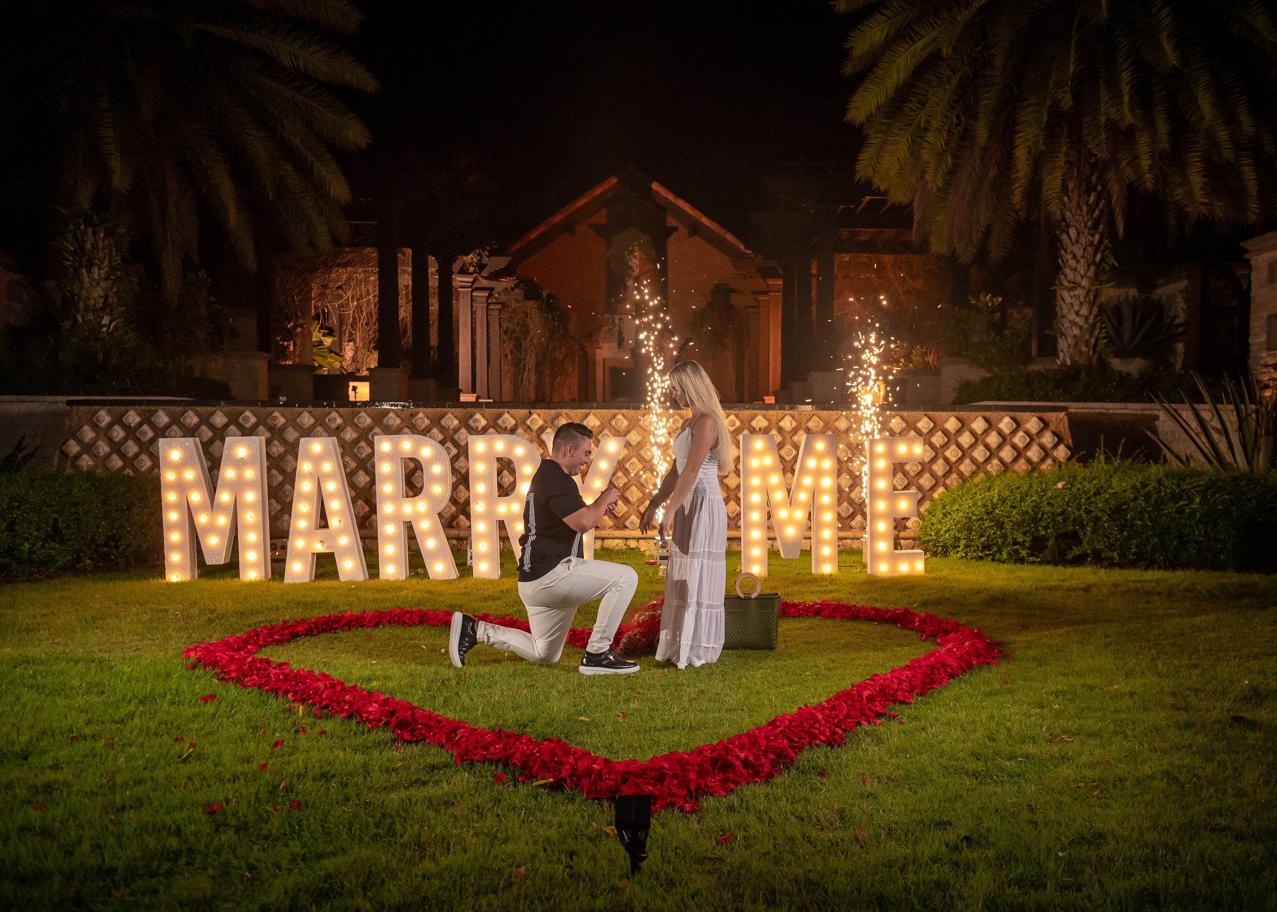 A romantic marriage proposal at night with illuminated 'MARRY ME' letters and heart-shaped rose petals on a garden lawn.