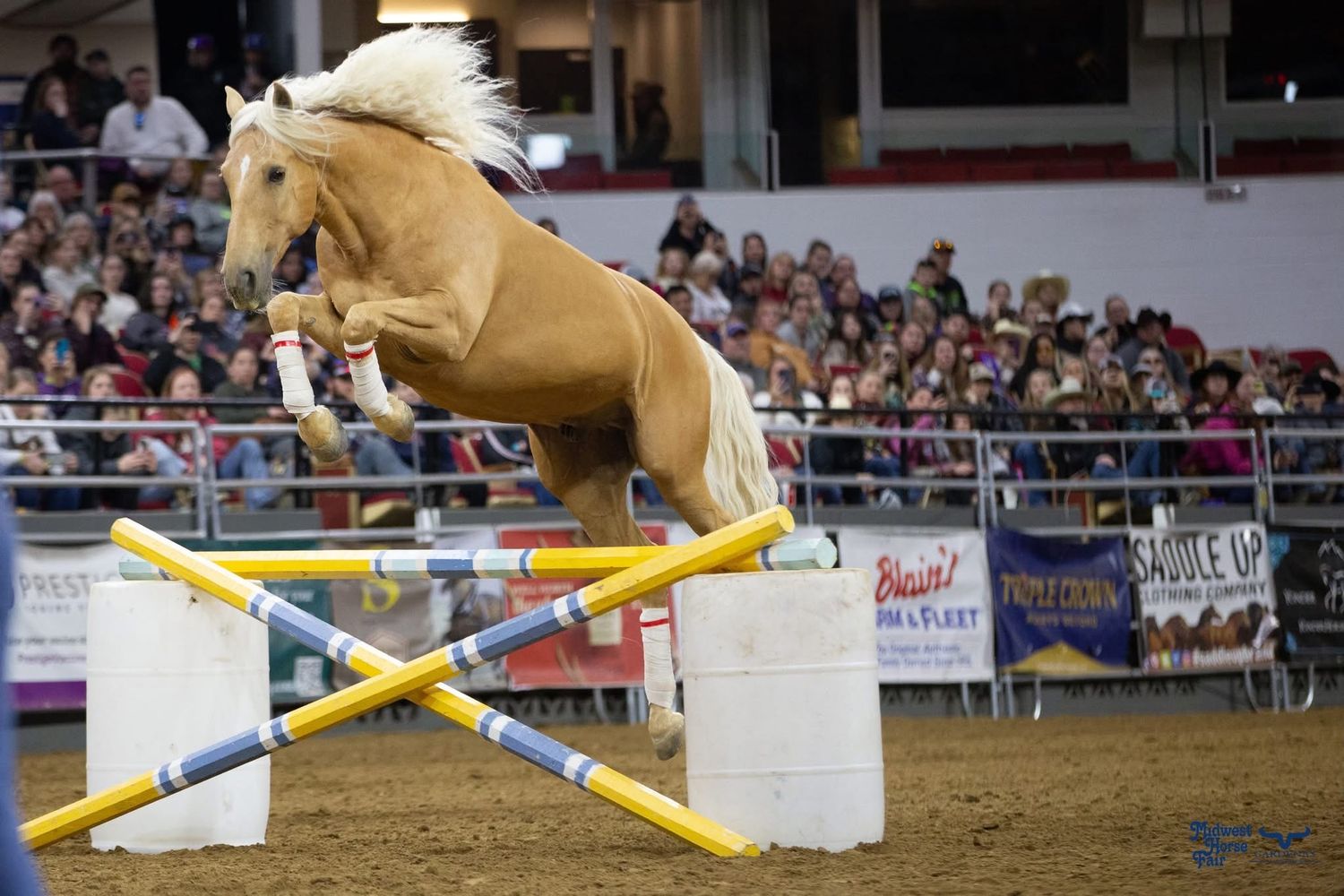 Palomino horse jumps over obstacle during indoor arena competition. Wisconsin Pro Rodeo PRCA Rodeo Photographer Dakota Cardenas