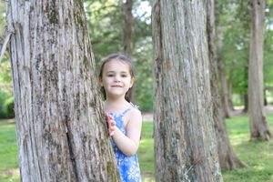 Young child in blue floral dress stands between two large tree trunks in sunny park setting.
