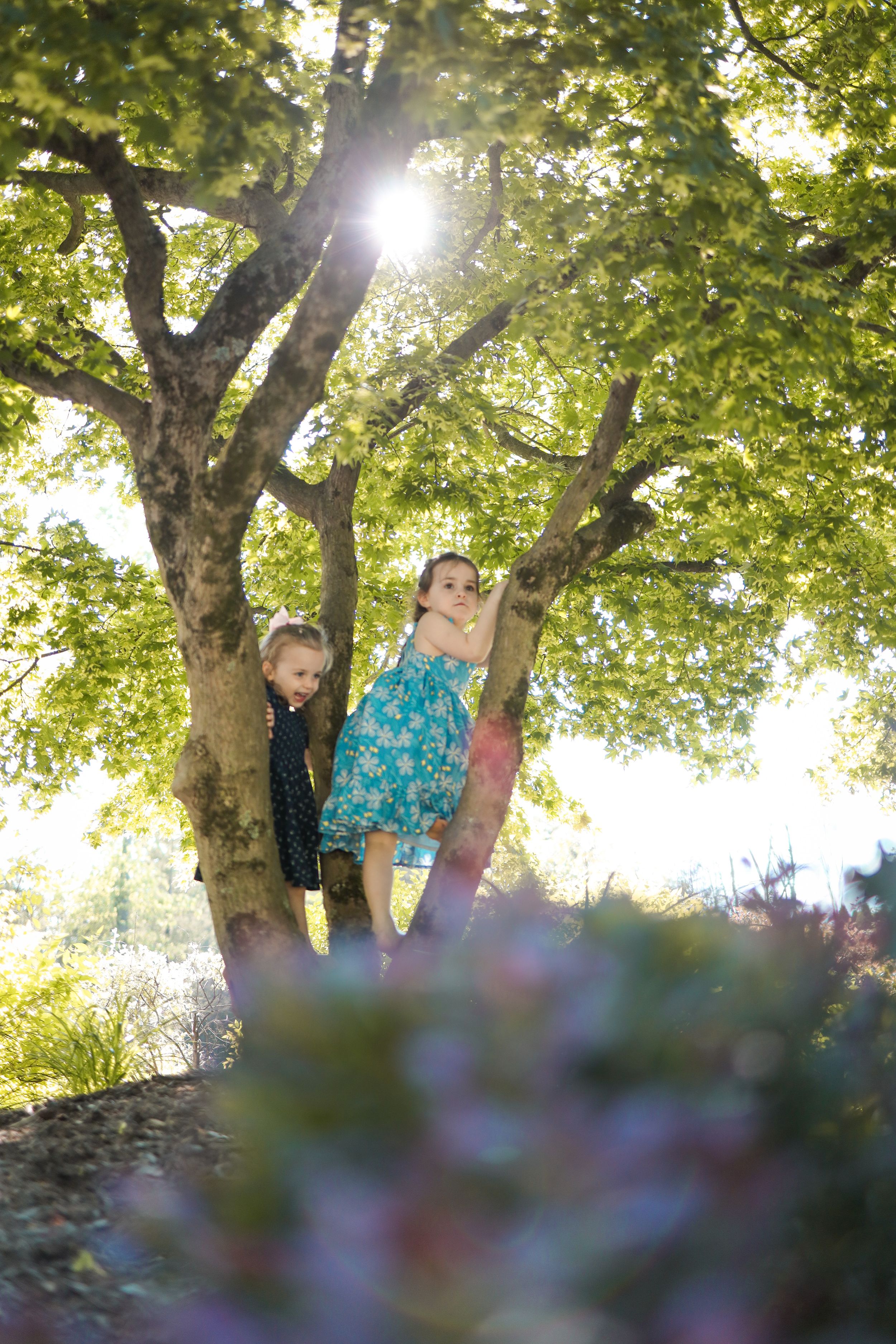 Two children climb a leafy green tree on a sunny summer day with sunlight streaming through the branches.