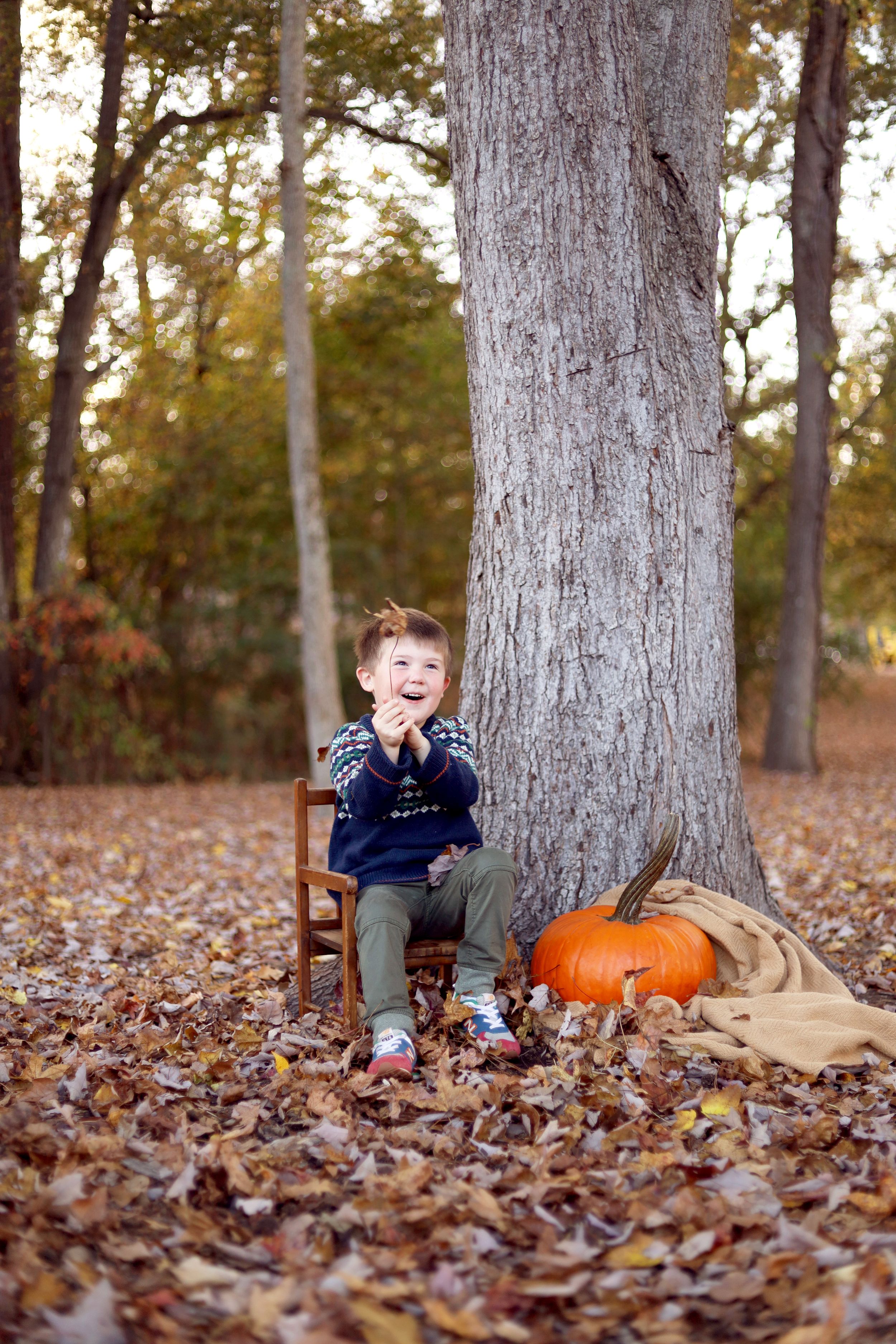 Fall autumn scene with small wooden chair, large tree trunk and pumpkin among scattered brown leaves in outdoor setting.