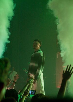Concert performer silhouetted on stage with dramatic green smoke effects and raised hands in the audience.