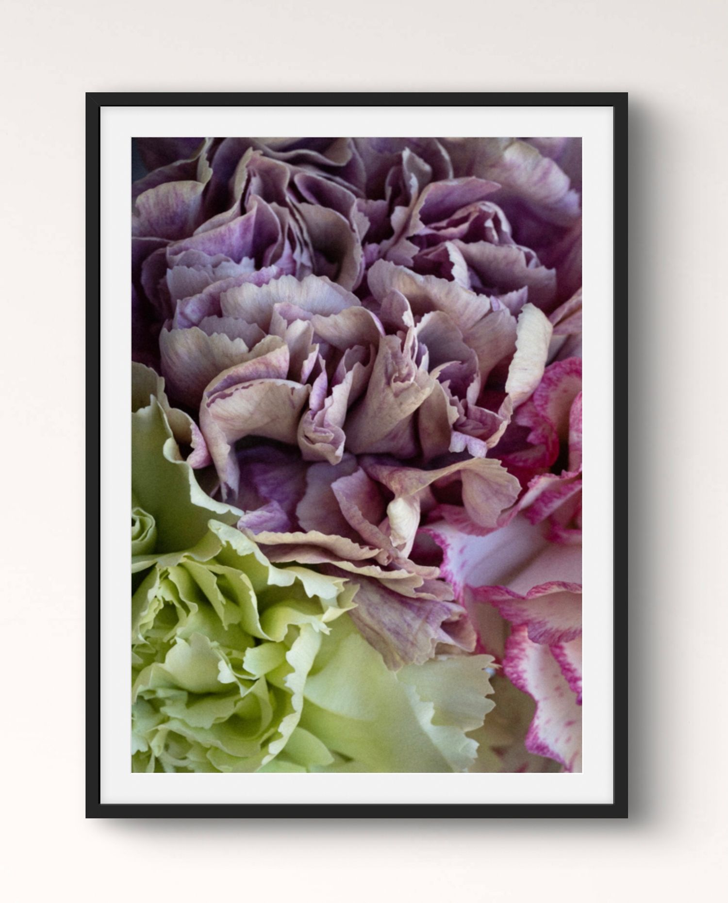 Fine art photographic print of carnations in macro detail