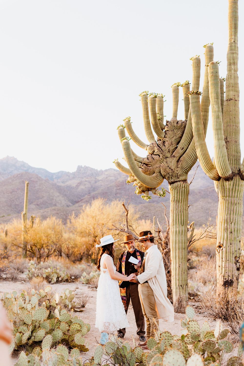 A couple shares a moment during their outdoor desert wedding ceremony surrounded by towering saguaro cacti in Arizona.
