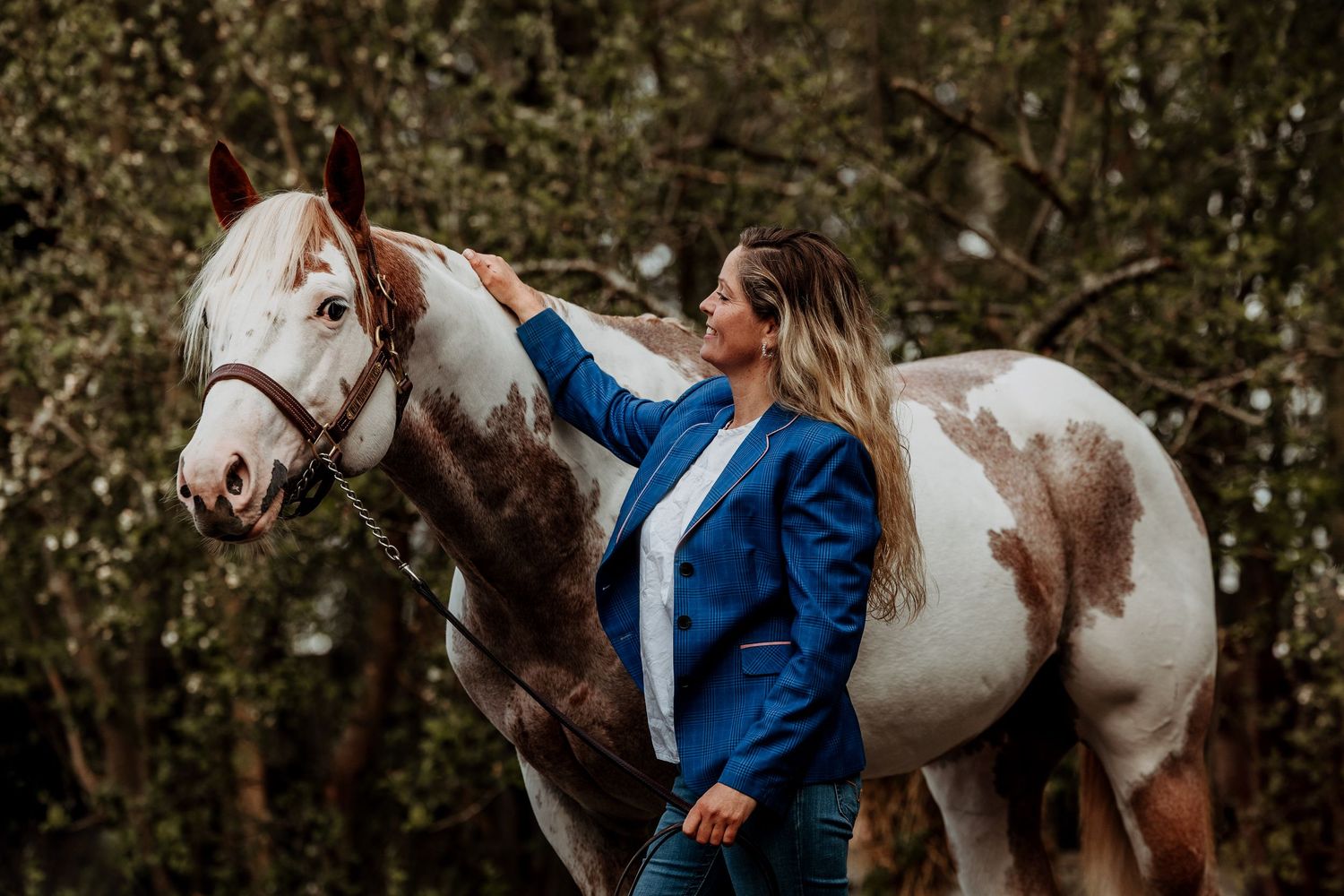 Paint horse stallion and breeder portrait picture