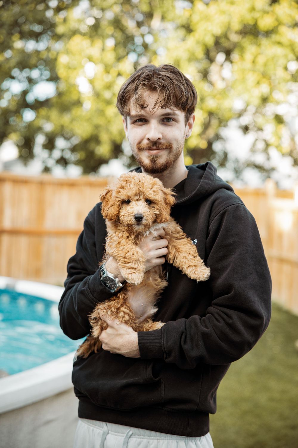 Young man with beard holding a fluffy golden Cavapoo puppy outdoors near a pool in a backyard.
