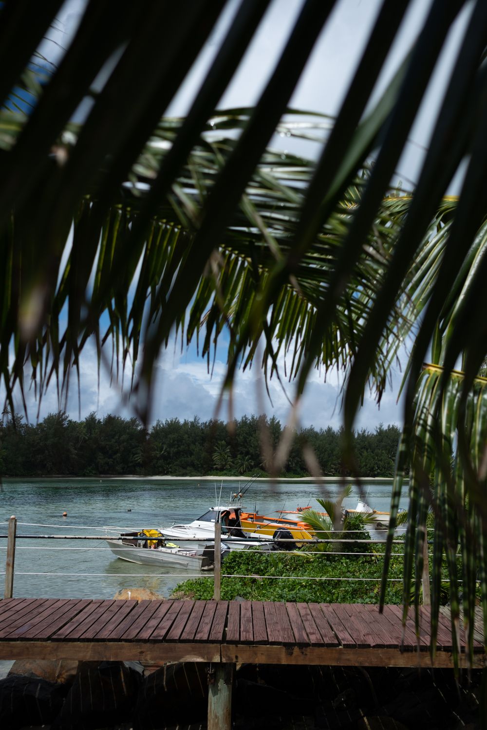 View of motorboats docked in tropical waters through palm fronds with wooden deck in foreground.