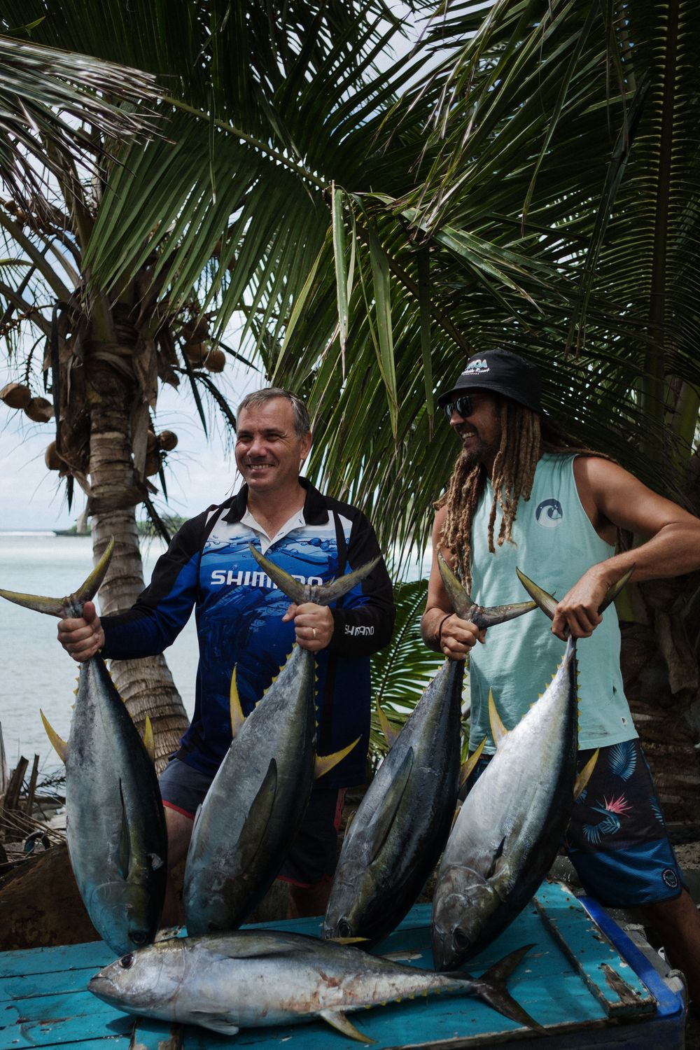 A series of fishing photos showing large caught fish being displayed under palm trees near the ocean.