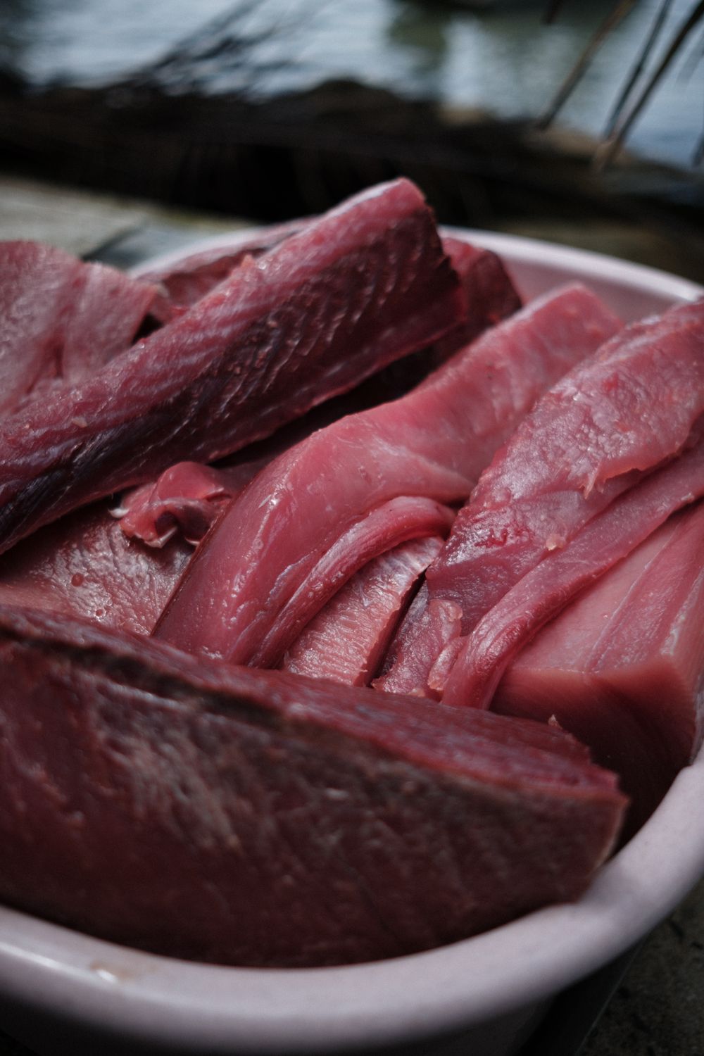 Fresh raw red tuna sashimi slices arranged in a white ceramic bowl showing the bright natural color of the fish.
