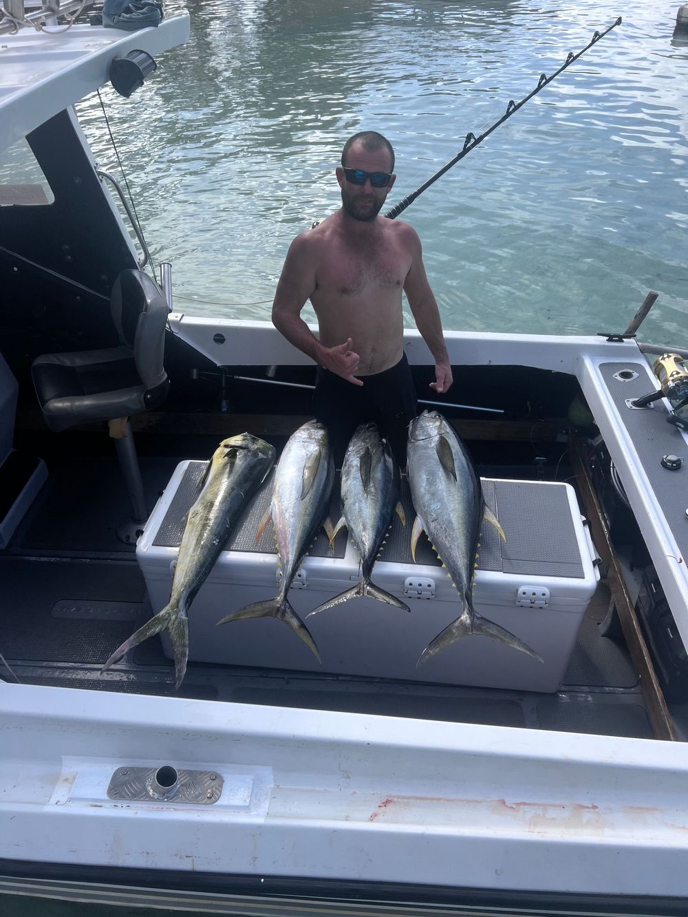 Fishing boat deck displays impressive catch of large yellow-fin tuna laid out in neat row on sunny day.