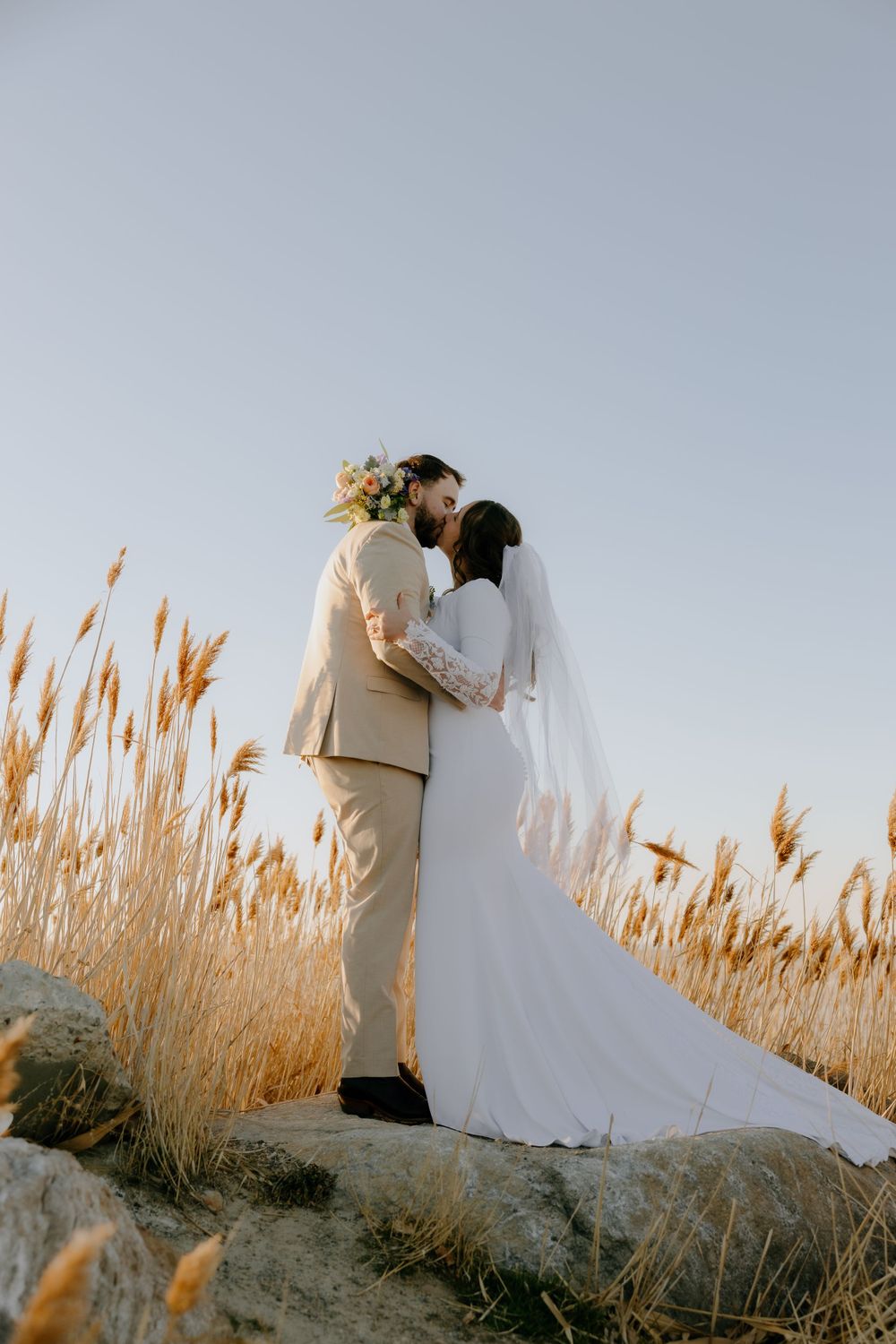 Newlyweds share an intimate moment among tall wheat grass at golden hour.