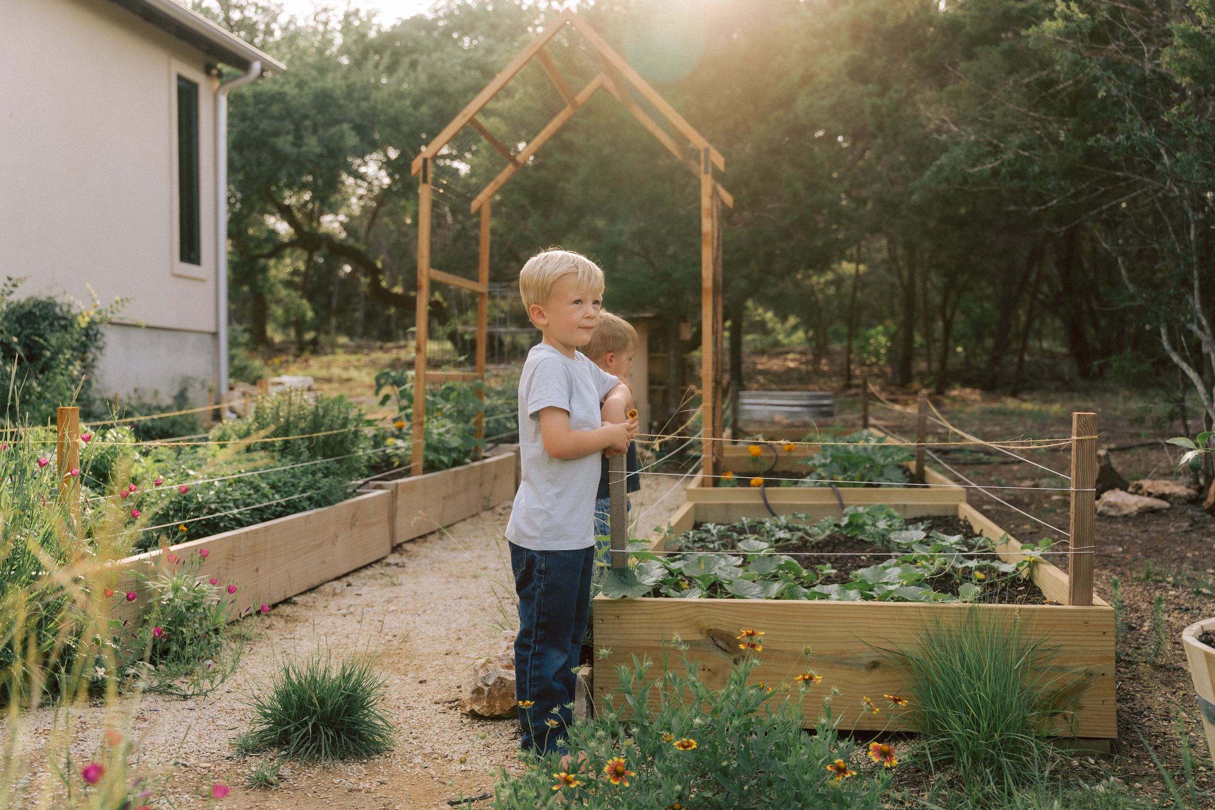 A small child stands in a backyard garden with raised wooden beds and a rustic wooden arch structure at sunset.