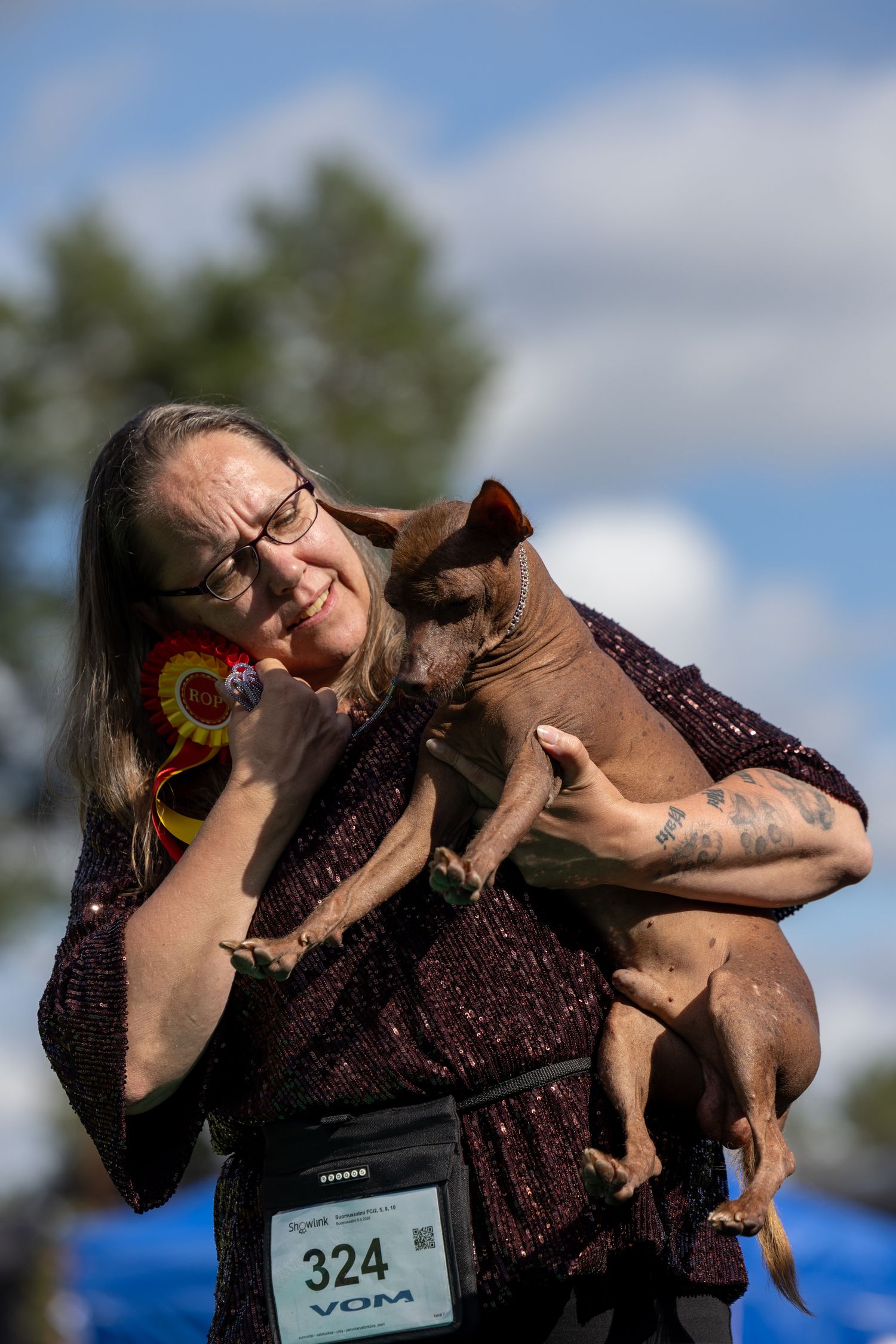 Woman holding a hairless dog at a dog show, wearing number 324 badge and a colorful rosette ribbon outdoors.