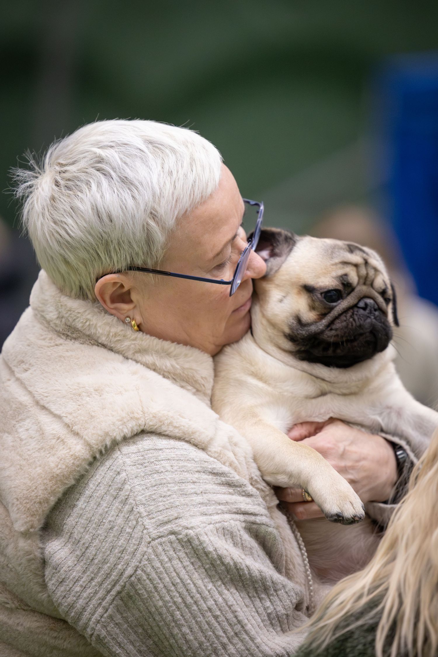 A person in a beige sweater shares sweet moments with their pug dog in a series of affectionate photos.