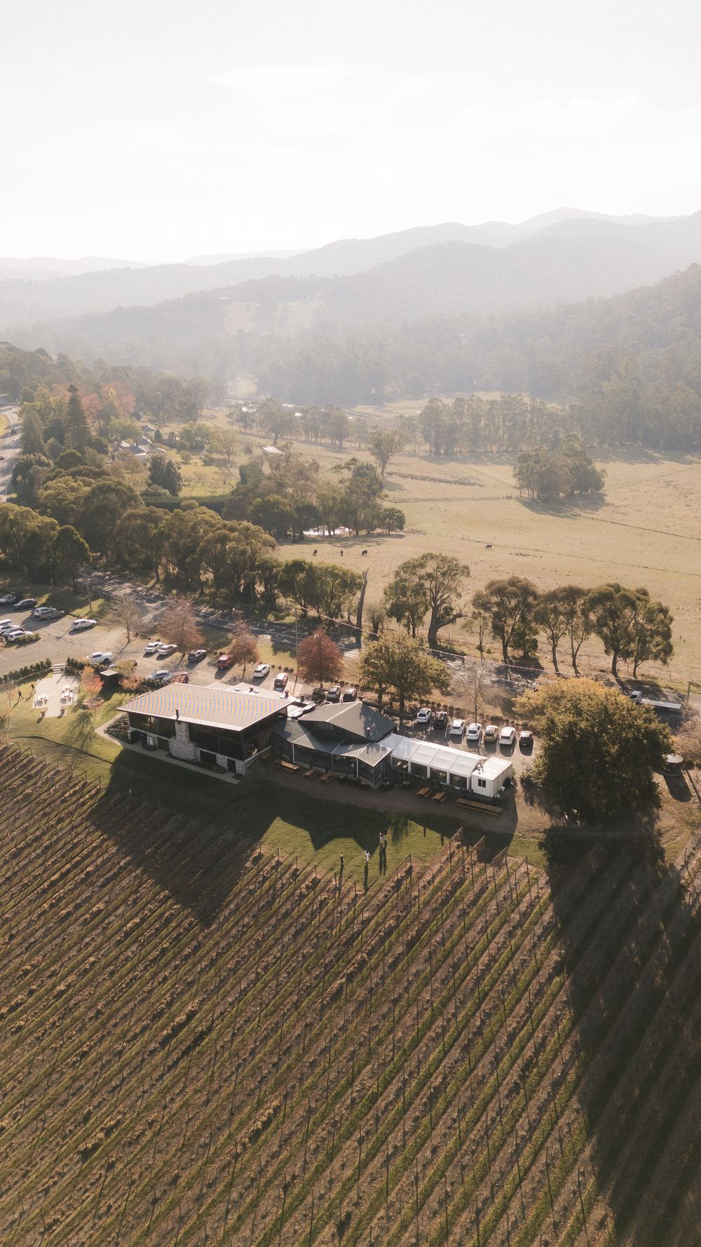 Aerial view of a vineyard and winery buildings nestled in misty rolling hills with parking area.