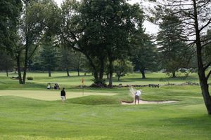 Golfers playing on a lush green golf course with sand bunkers and tall trees on a cloudy day.