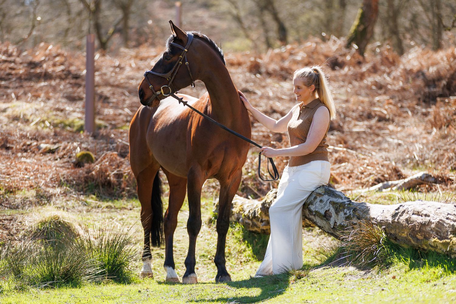 A series of seven photos showing a white horse and rider interacting at a wooden fence in an outdoor setting.