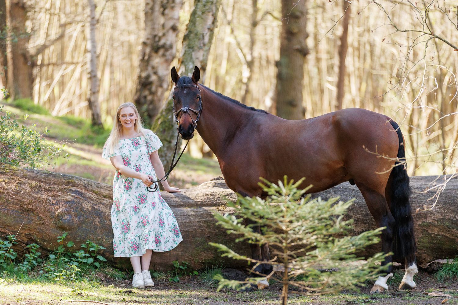 A horse and its rider enjoy an outdoor photoshoot session near rustic wooden fencing on a sunny day.