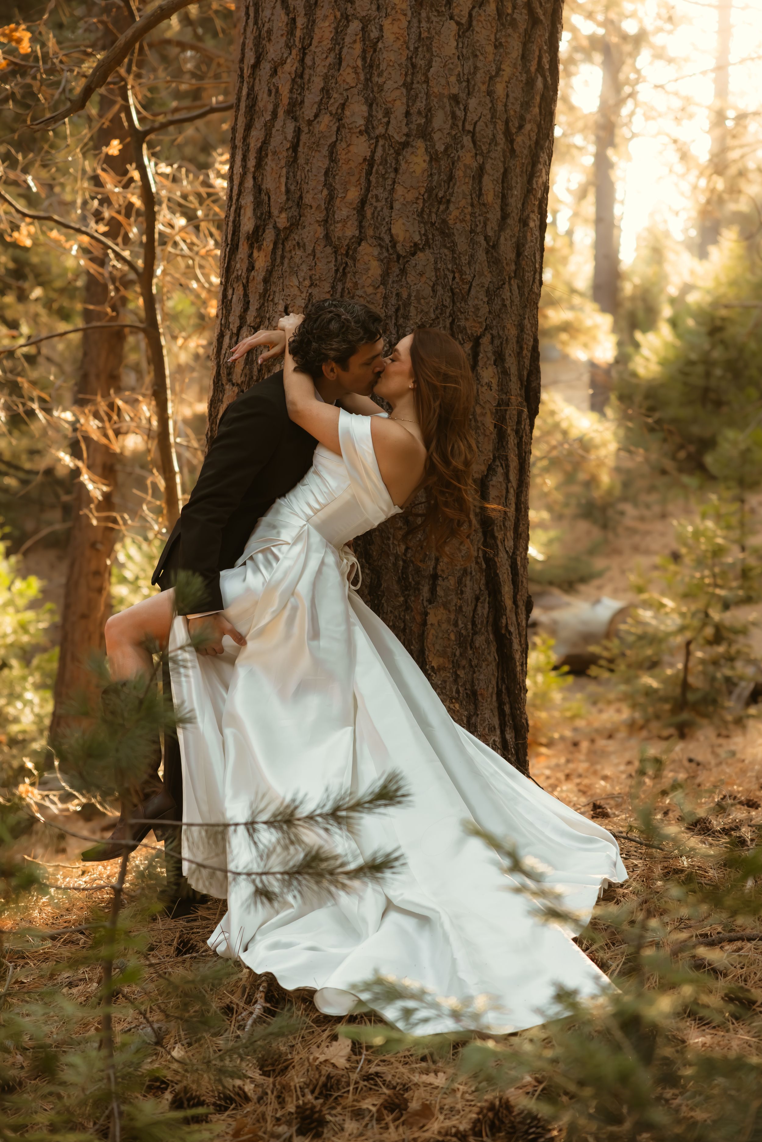 Bride and groom sharing a romantic kiss against a pine tree in a sunlit forest captured by a Los Angeles Wedding Photographer