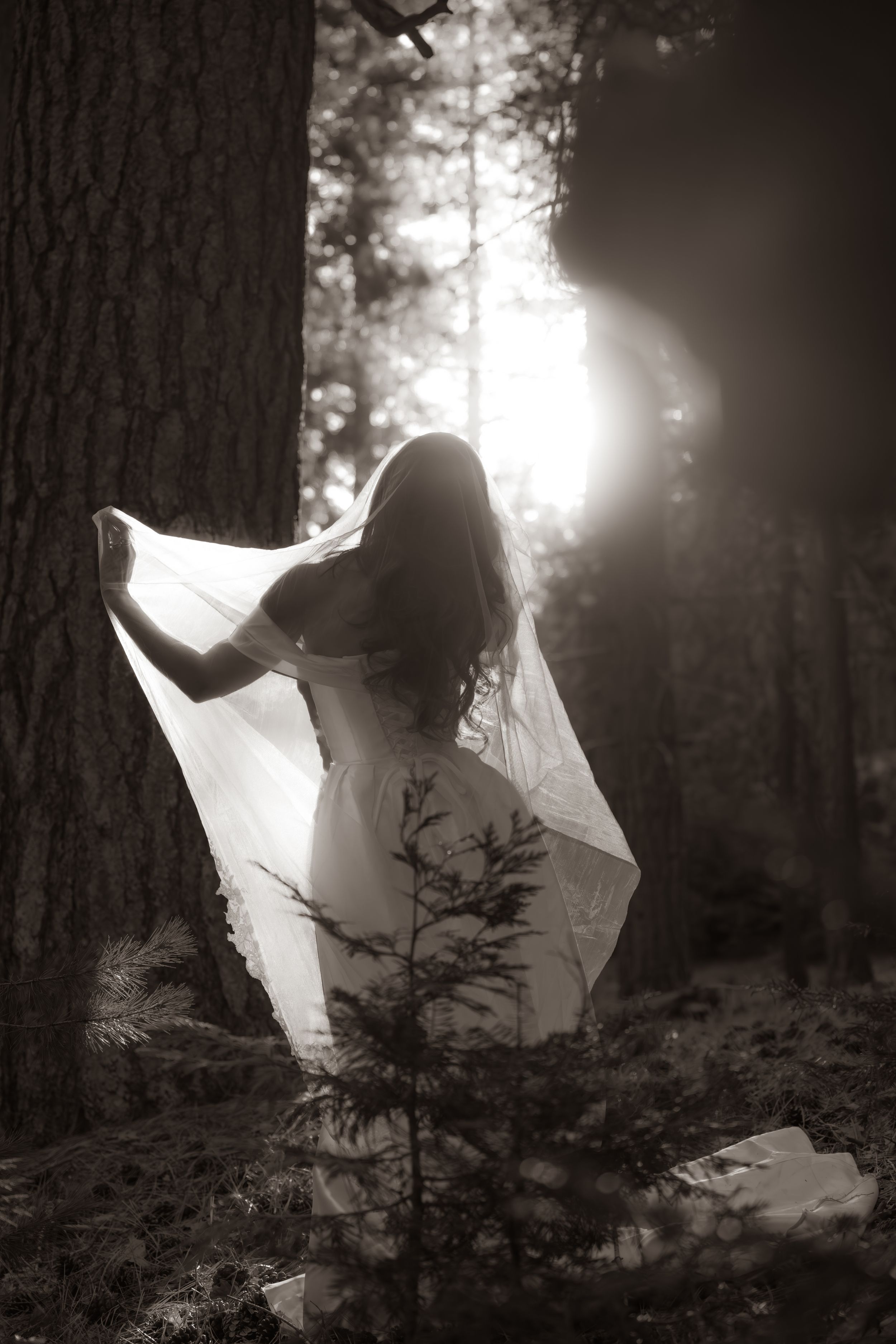 Bride in white gown and veil standing in sunlit forest, black and white photo.
