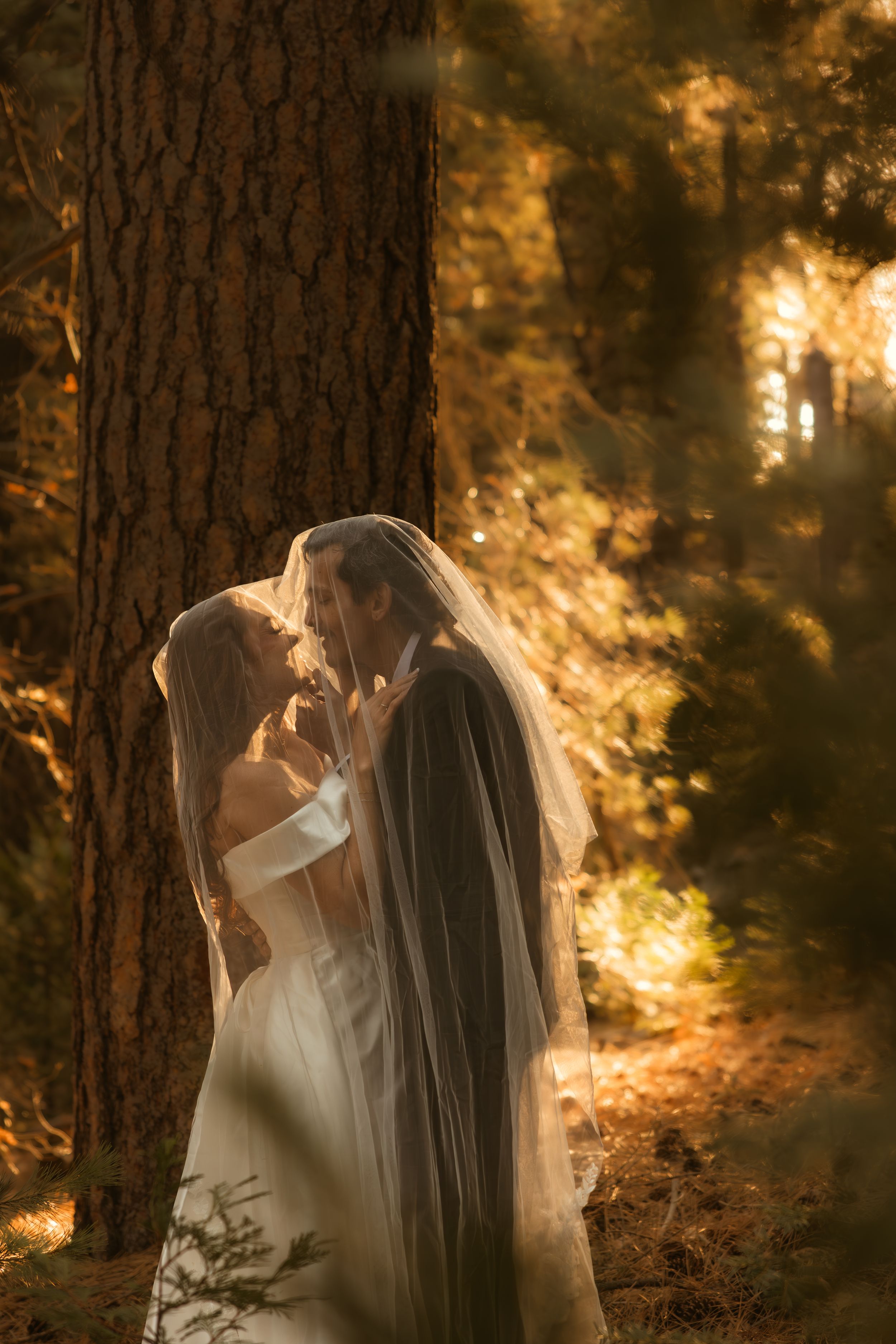 Bride and groom sharing a romantic kiss under a veil in a sunlit forest during their wedding day.