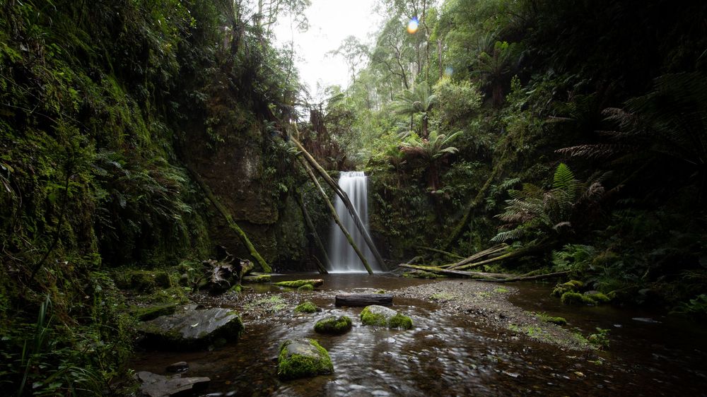 Lush green rainforest waterfall cascading into a serene rock pool, surrounded by ferns and moss-covered stones.